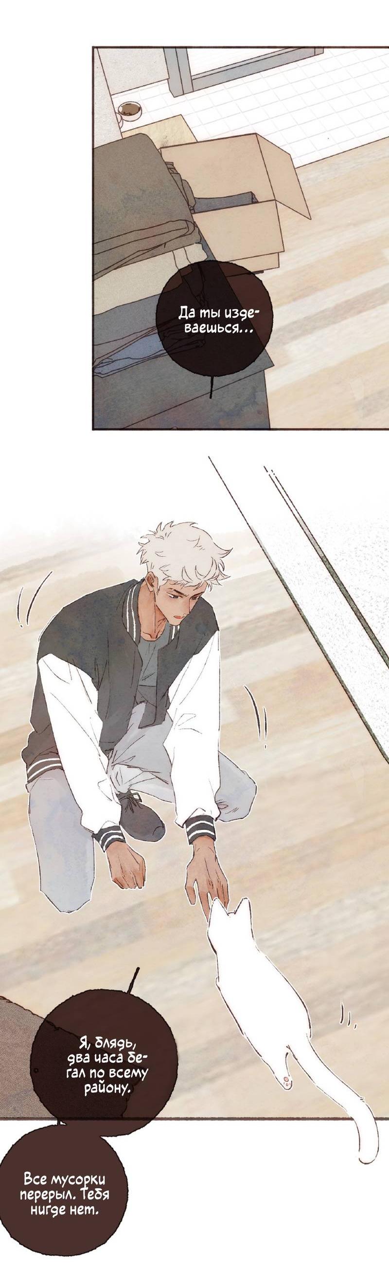 Манга Котёнок удачи - Глава 39 Страница 21