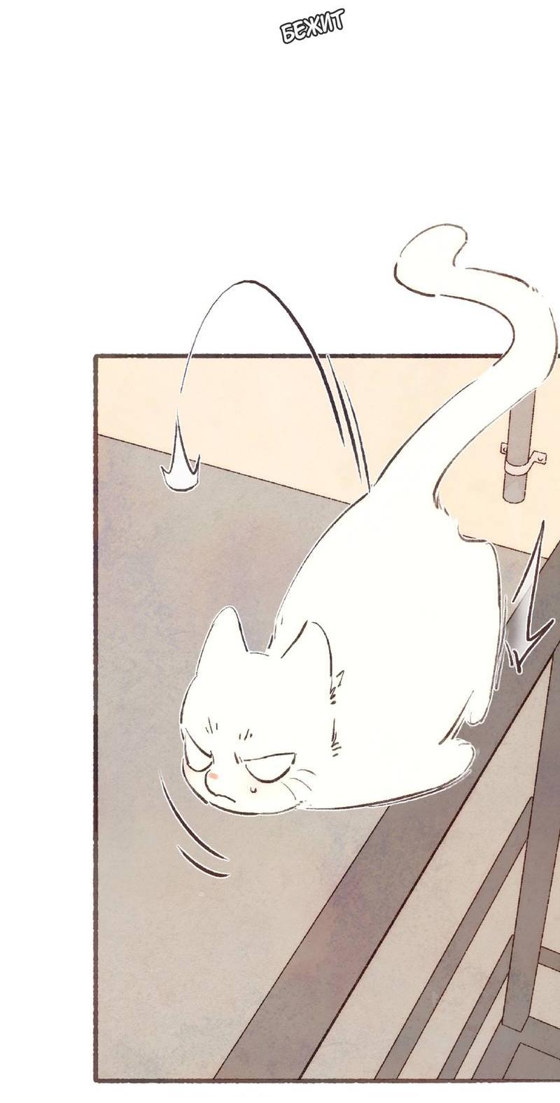 Манга Котёнок удачи - Глава 39 Страница 10