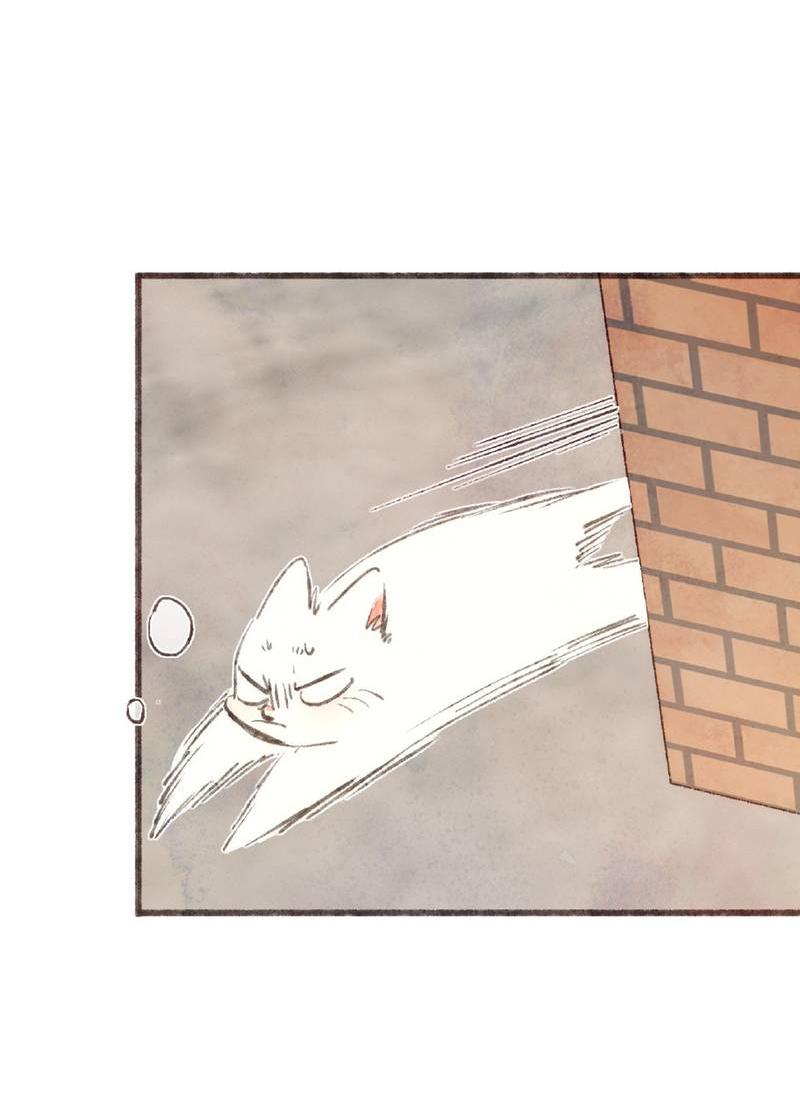 Манга Котёнок удачи - Глава 39 Страница 12