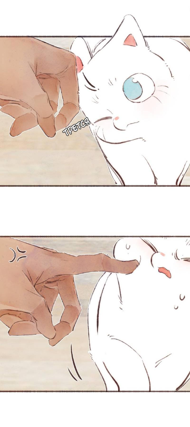 Манга Котёнок удачи - Глава 39 Страница 22