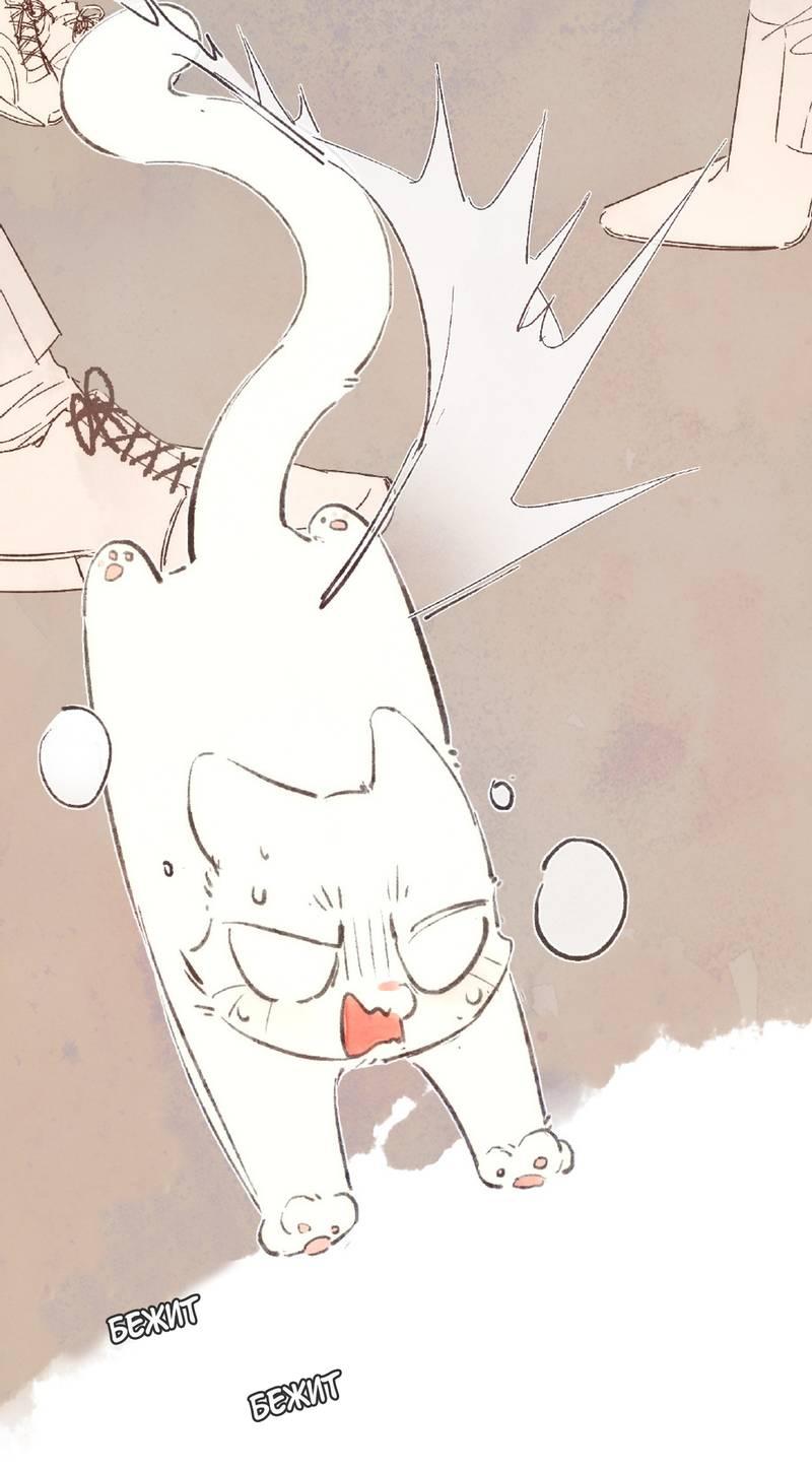 Манга Котёнок удачи - Глава 39 Страница 9