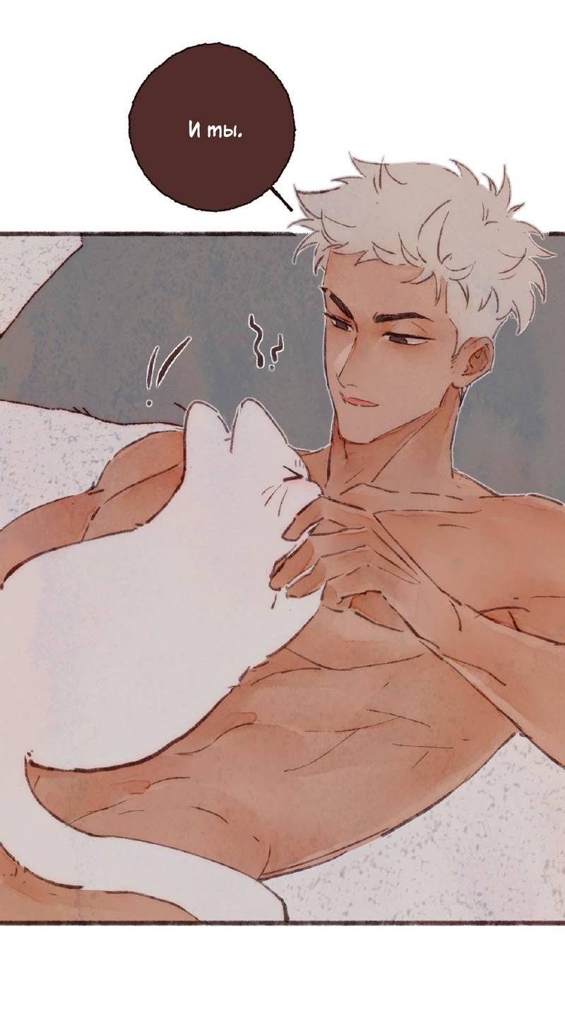 Манга Котёнок удачи - Глава 41 Страница 13