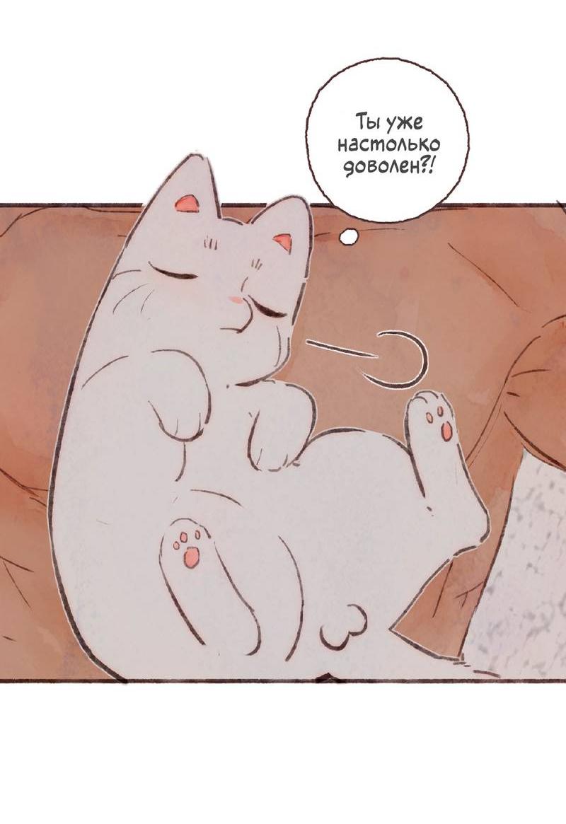Манга Котёнок удачи - Глава 41 Страница 15