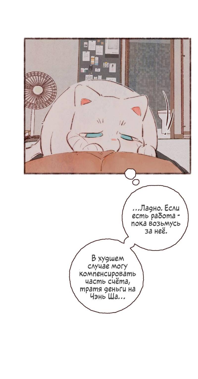 Манга Котёнок удачи - Глава 41 Страница 8