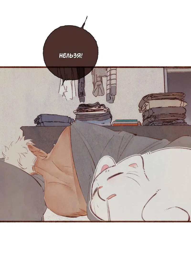 Манга Котёнок удачи - Глава 17 Страница 20