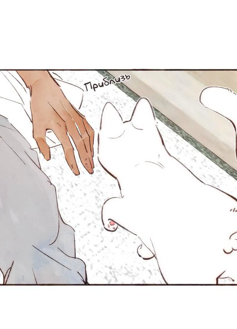 Манга Котёнок удачи - Глава 17 Страница 9