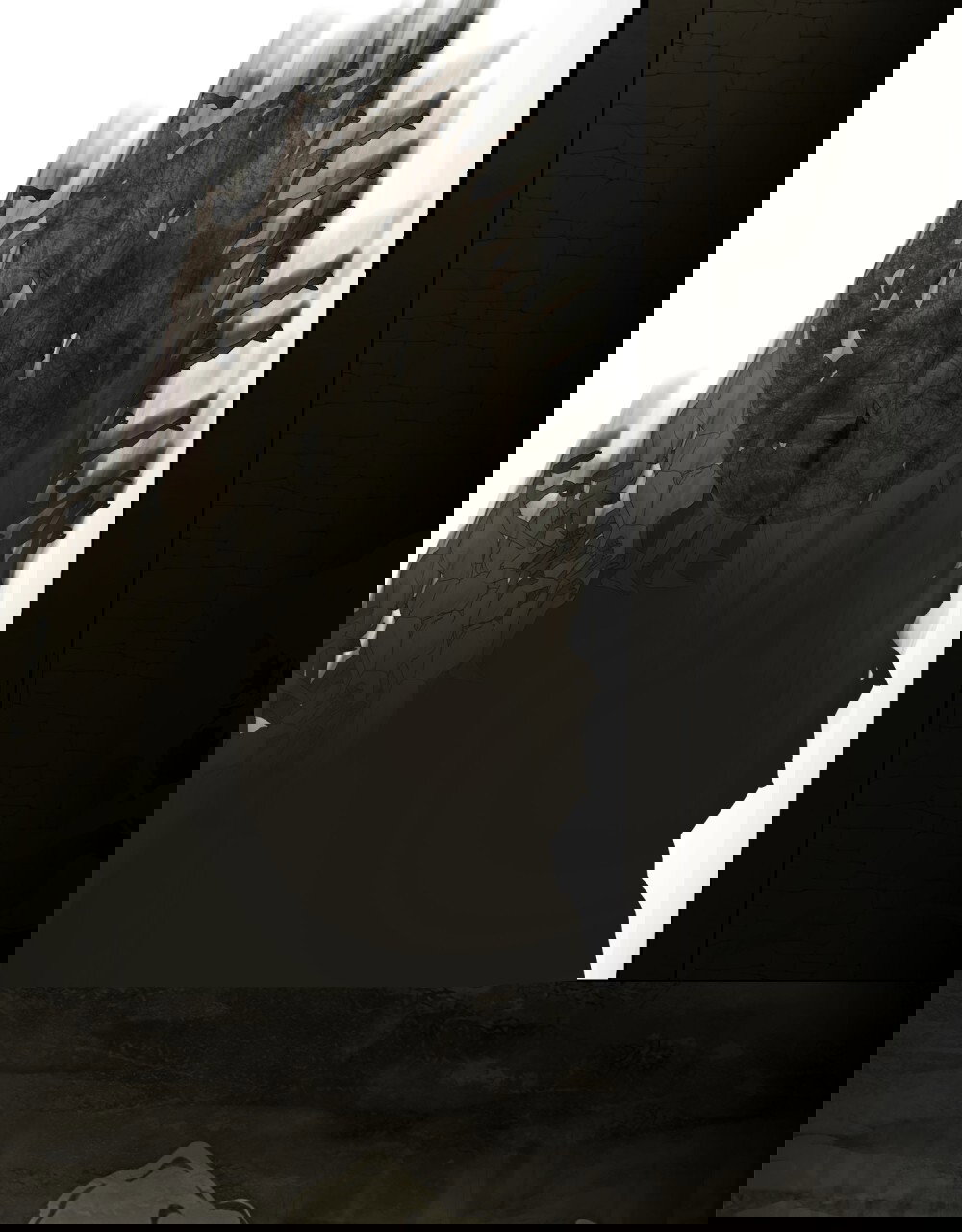 Манга Леди-монстр и паладин - Глава 44 Страница 91