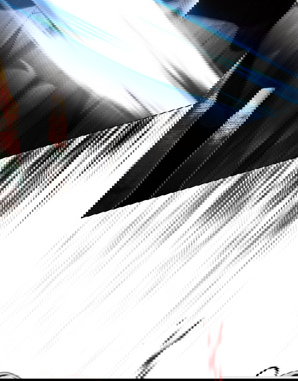 Манга Леди-монстр и паладин - Глава 44 Страница 81