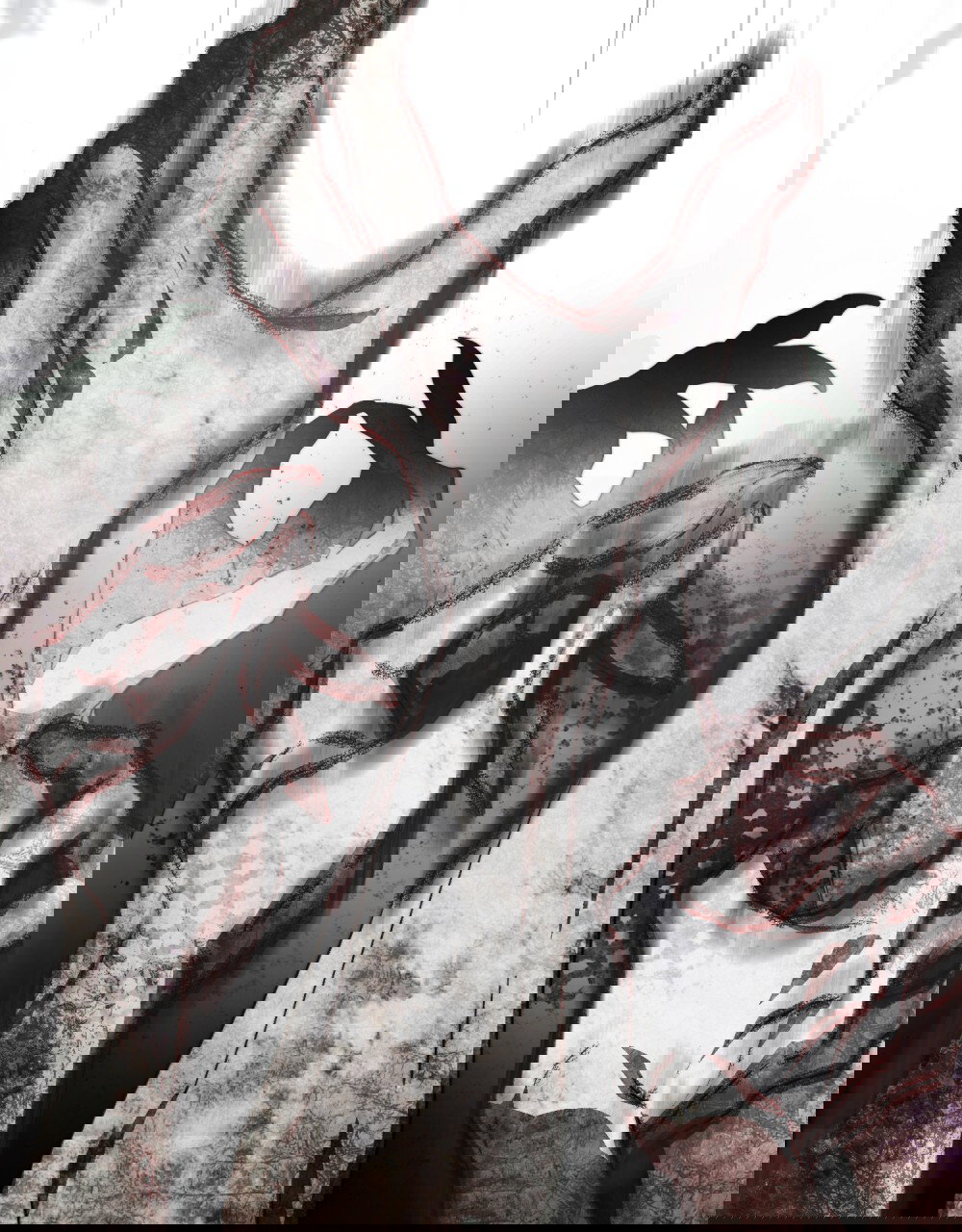 Манга Леди-монстр и паладин - Глава 44 Страница 93