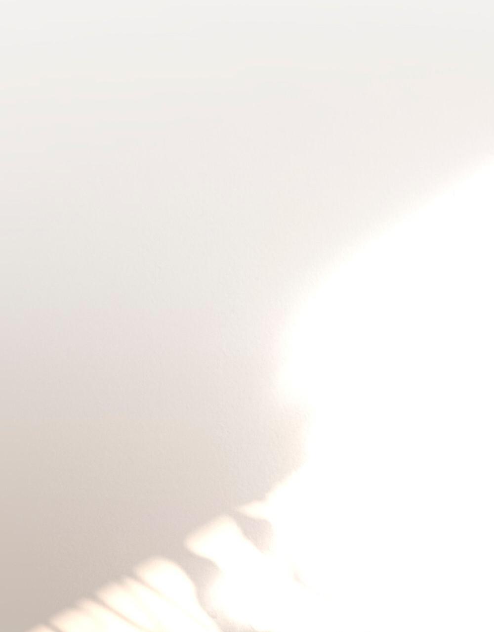 Манга Леди-монстр и паладин - Глава 63 Страница 28