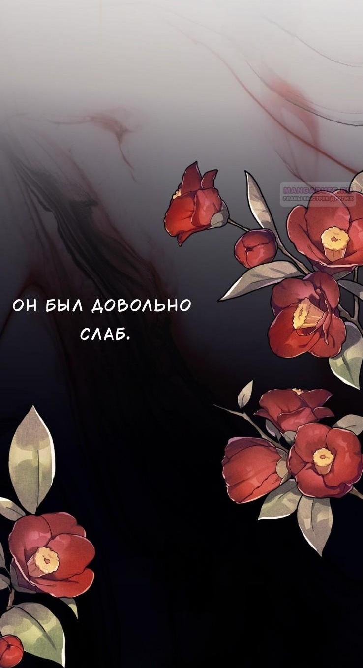 Манга Леди-монстр и паладин - Глава 37 Страница 4