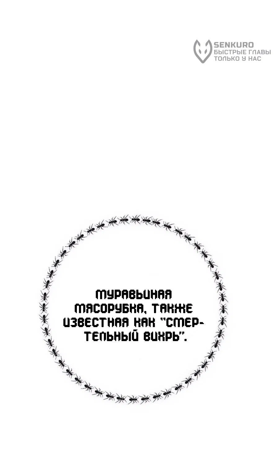 Манга Носильщик подземелий - Глава 22 Страница 33