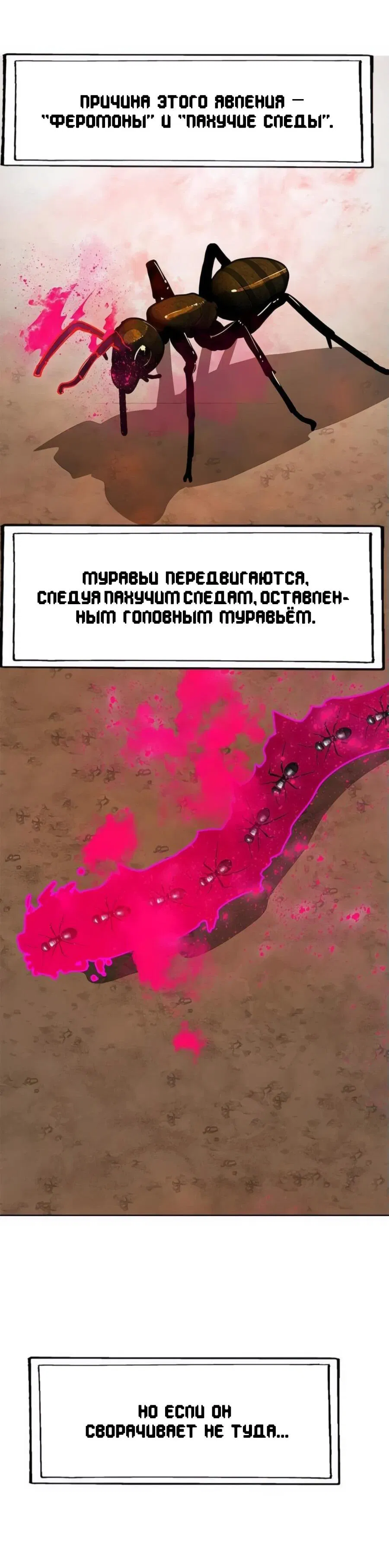 Манга Носильщик подземелий - Глава 22 Страница 35