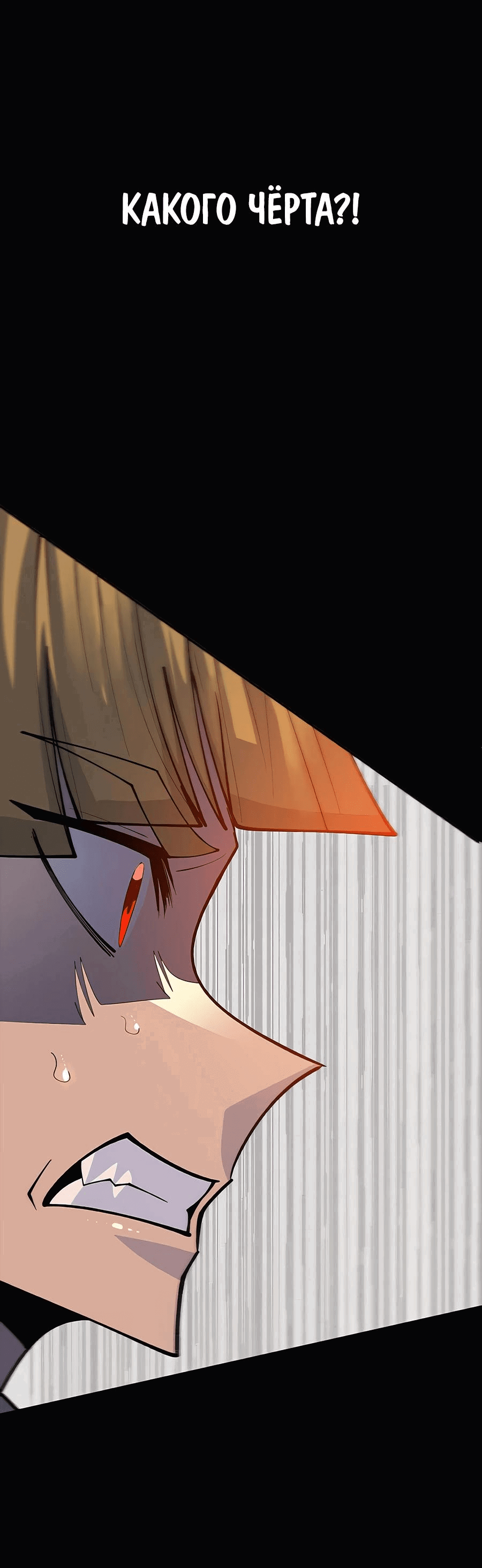 Манга Носильщик подземелий - Глава 2 Страница 40