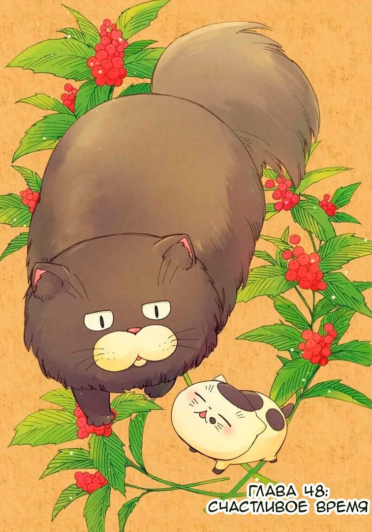 Манга Мужчина и кот - Глава 48 Страница 4