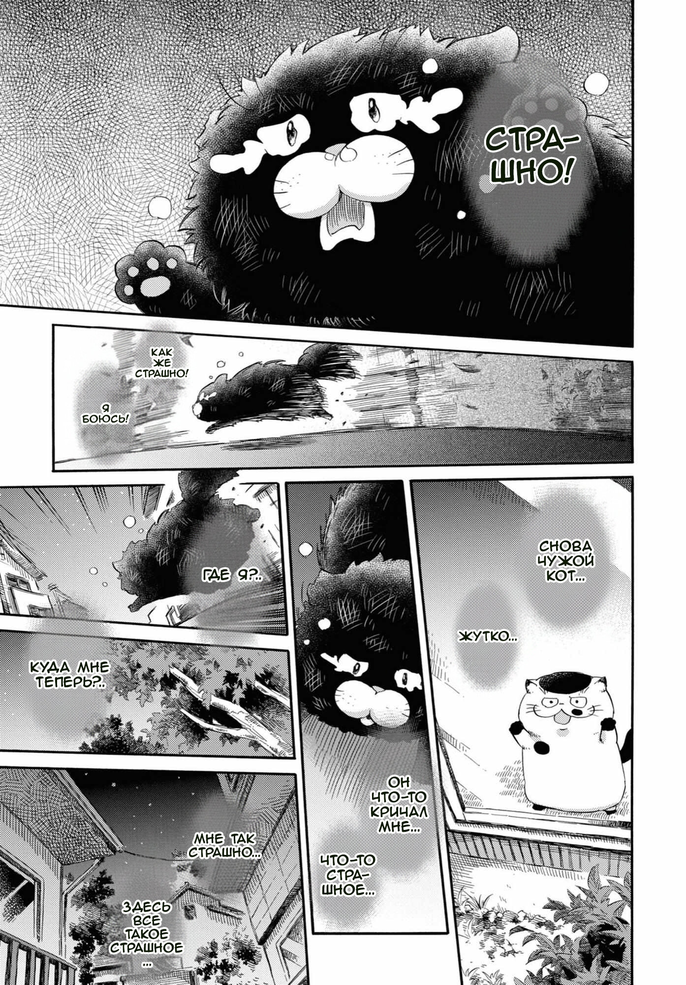 Манга Мужчина и кот - Глава 48 Страница 8