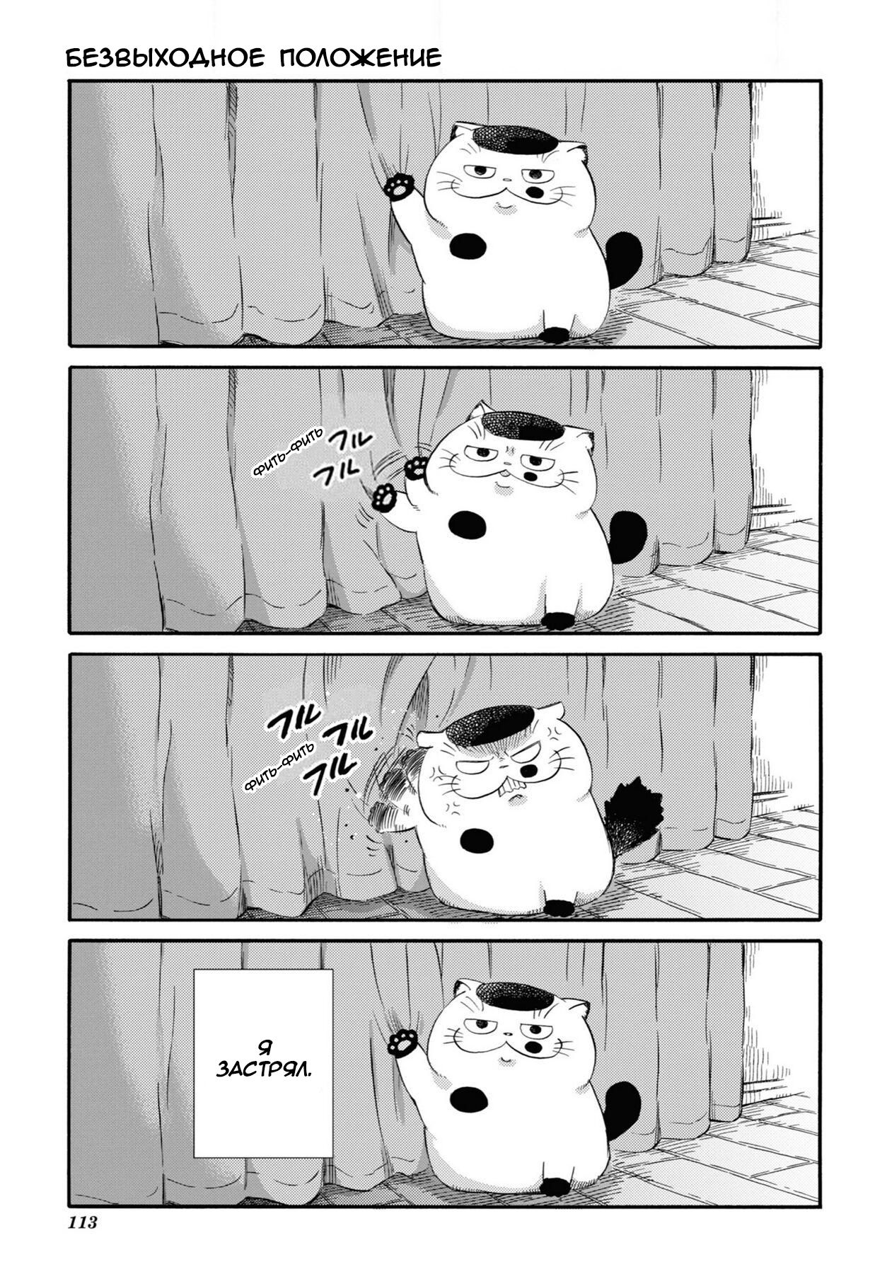 Манга Мужчина и кот - Глава 44 Страница 7