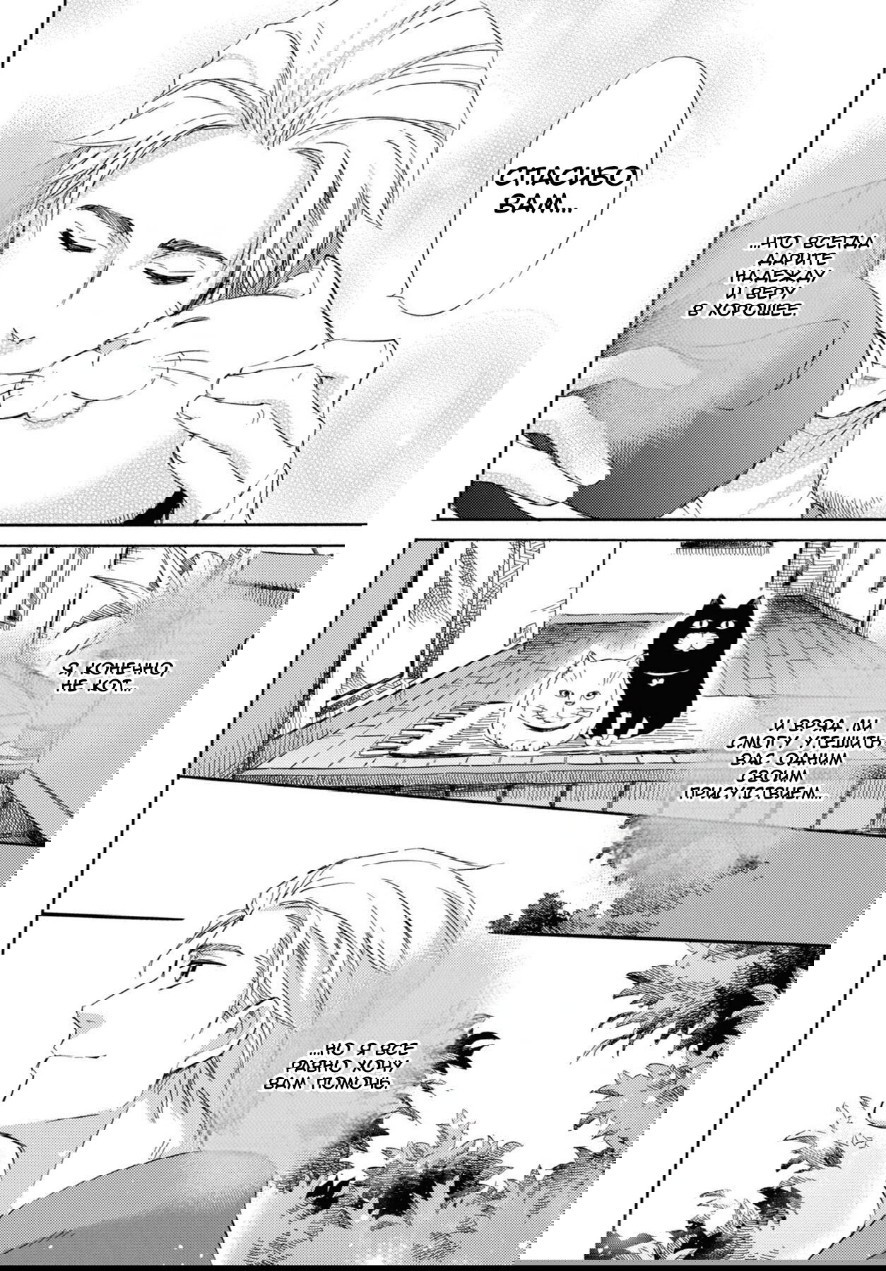 Манга Мужчина и кот - Глава 43 Страница 6