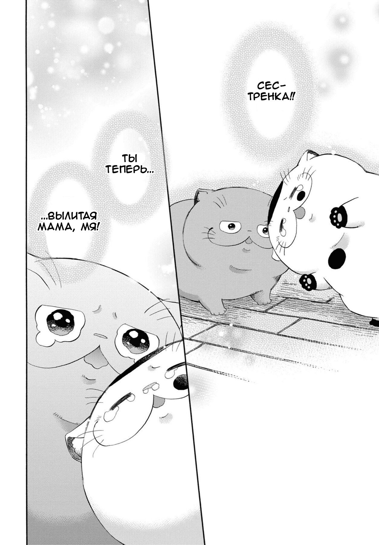 Манга Мужчина и кот - Глава 42 Страница 8