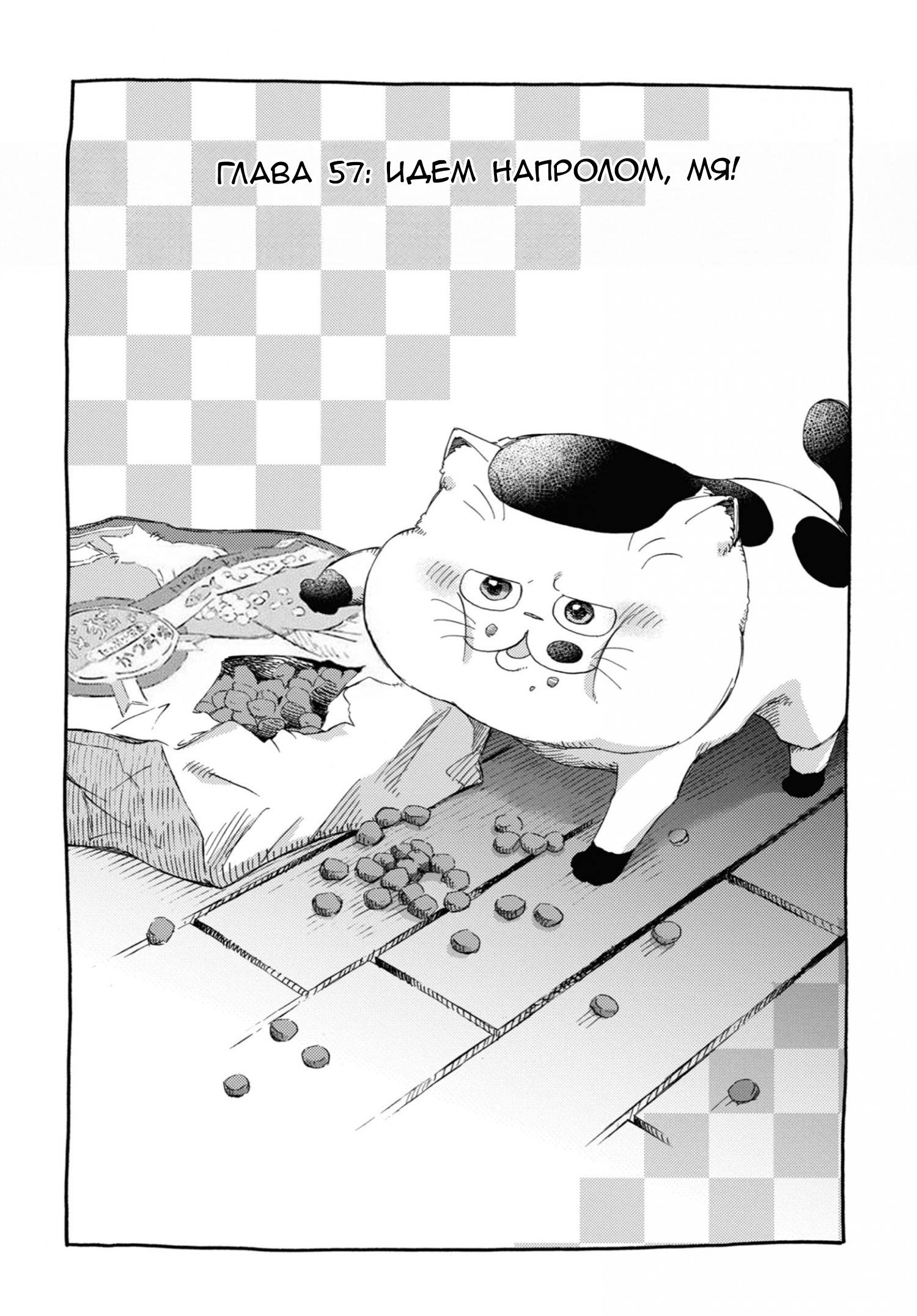 Манга Мужчина и кот - Глава 57 Страница 4