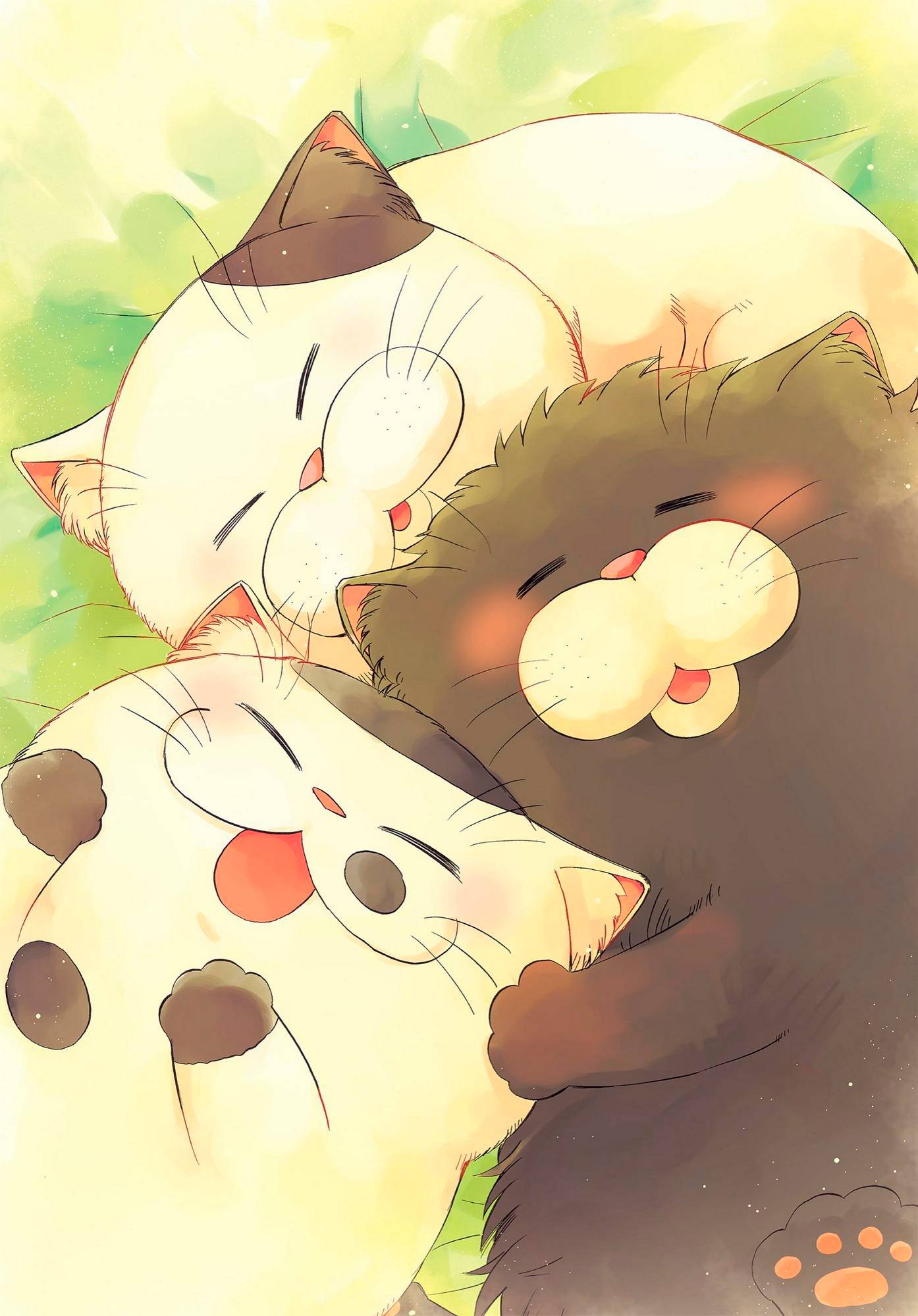 Манга Мужчина и кот - Глава 56.1 Страница 12