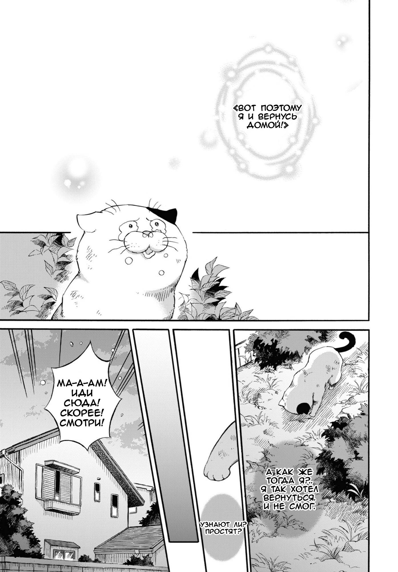 Манга Мужчина и кот - Глава 56.1 Страница 9