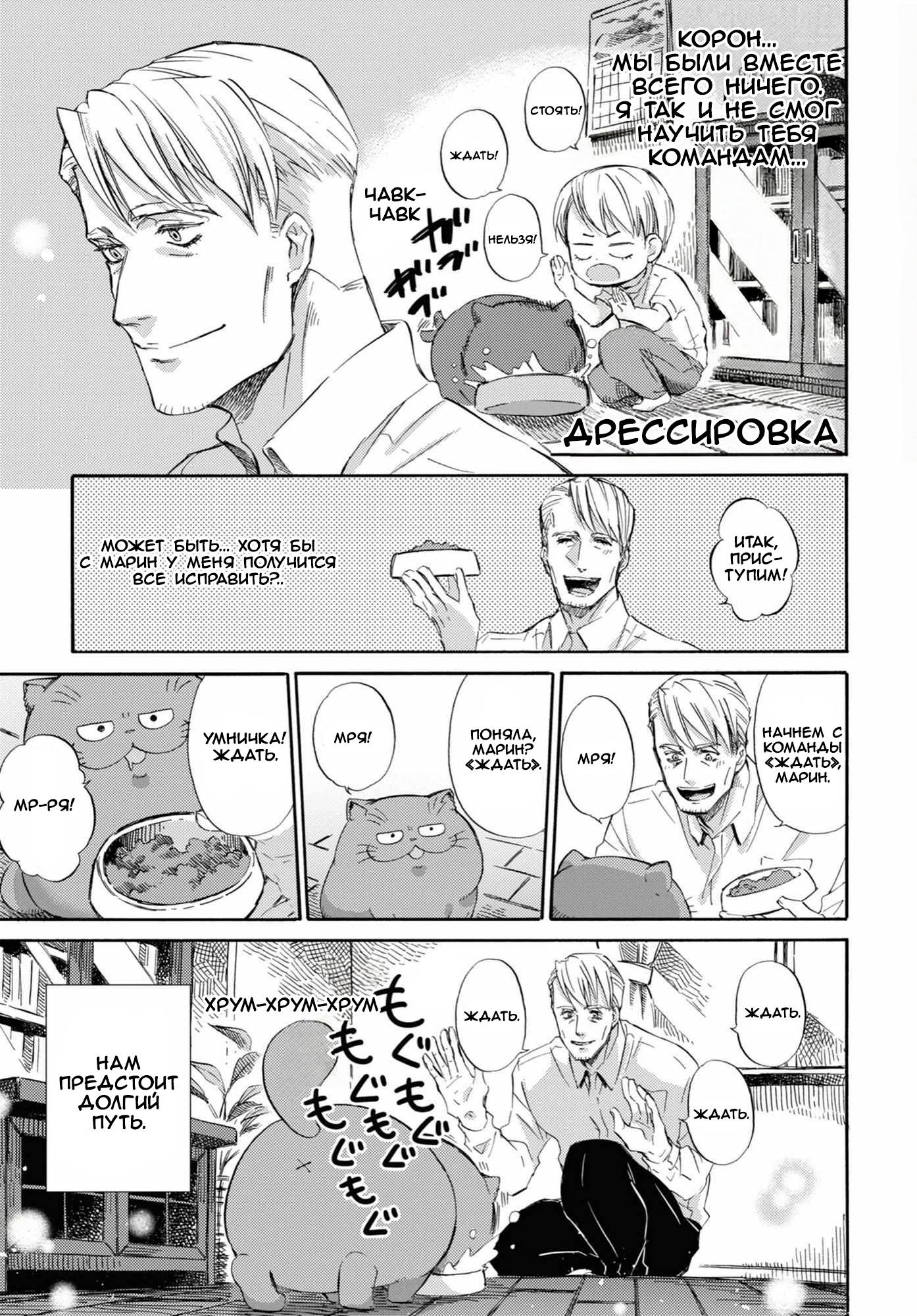 Манга Мужчина и кот - Глава 55 Страница 19