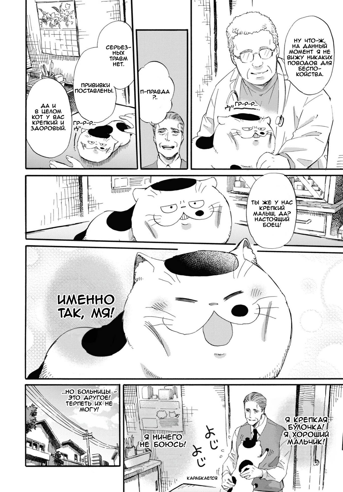 Манга Мужчина и кот - Глава 55 Страница 4