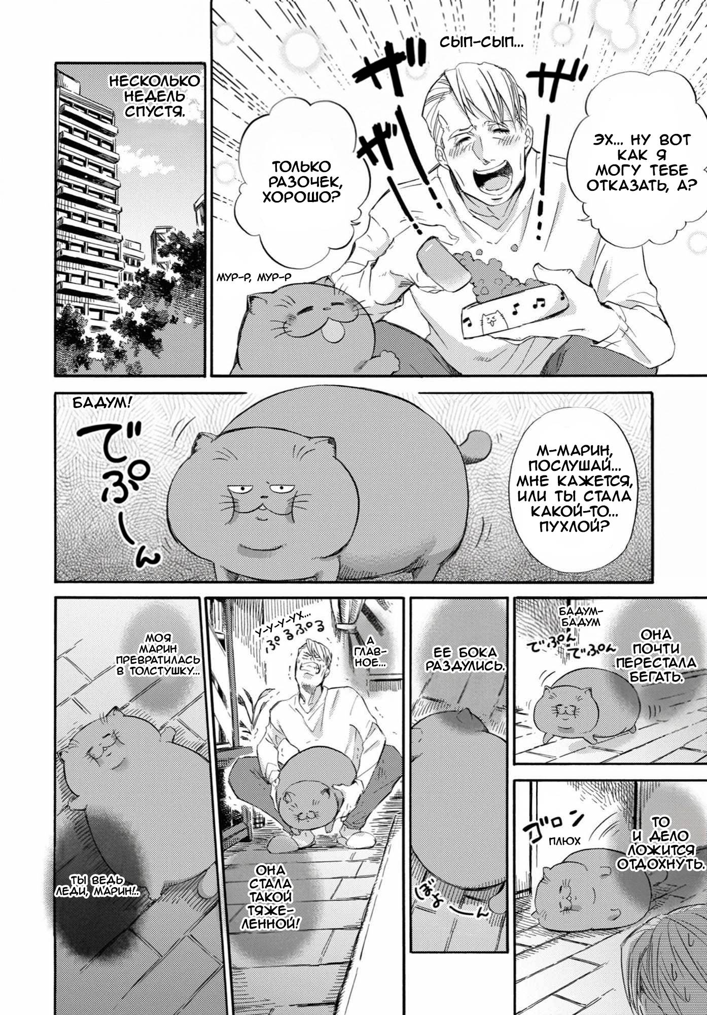 Манга Мужчина и кот - Глава 55 Страница 16