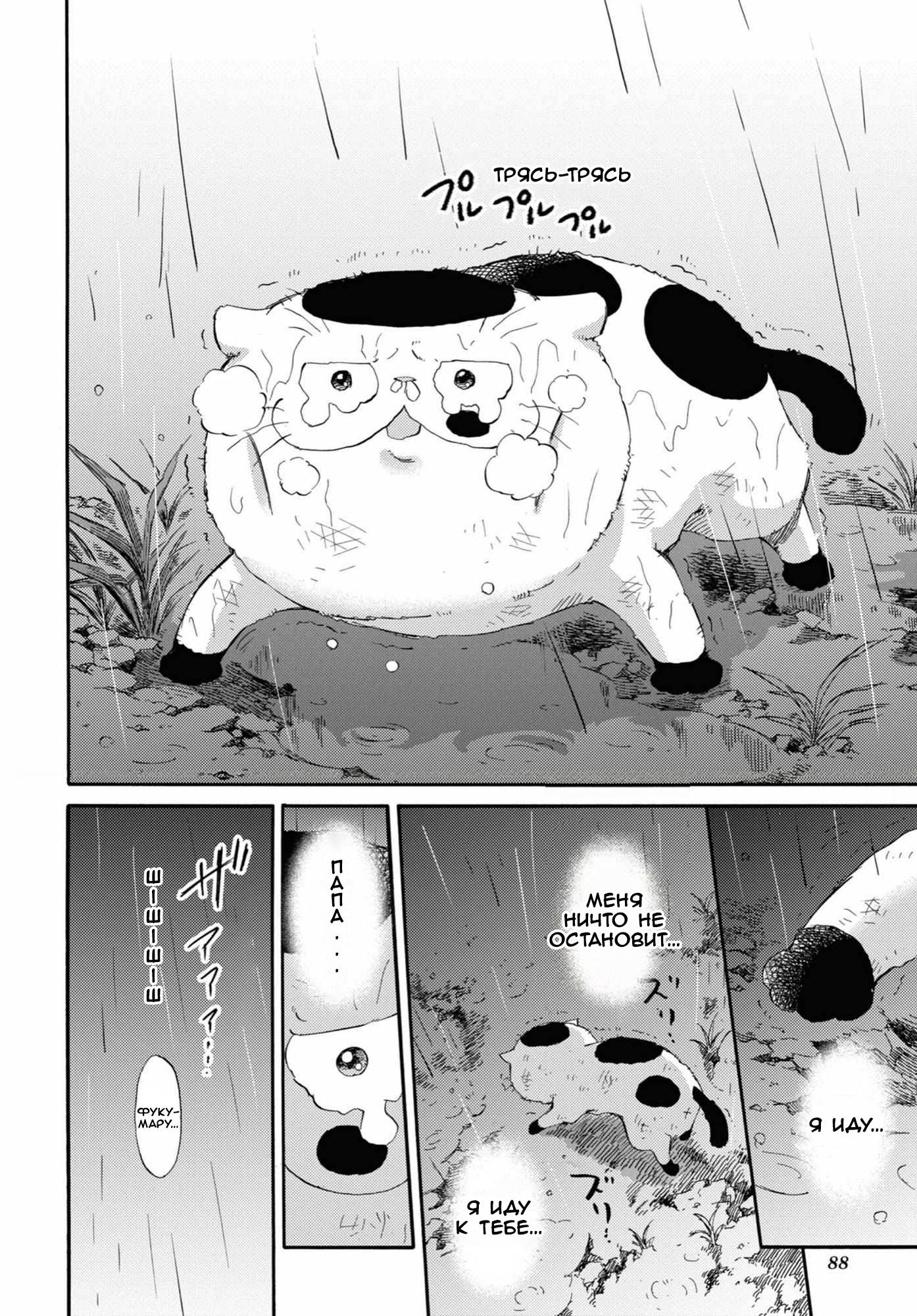 Манга Мужчина и кот - Глава 54 Страница 12