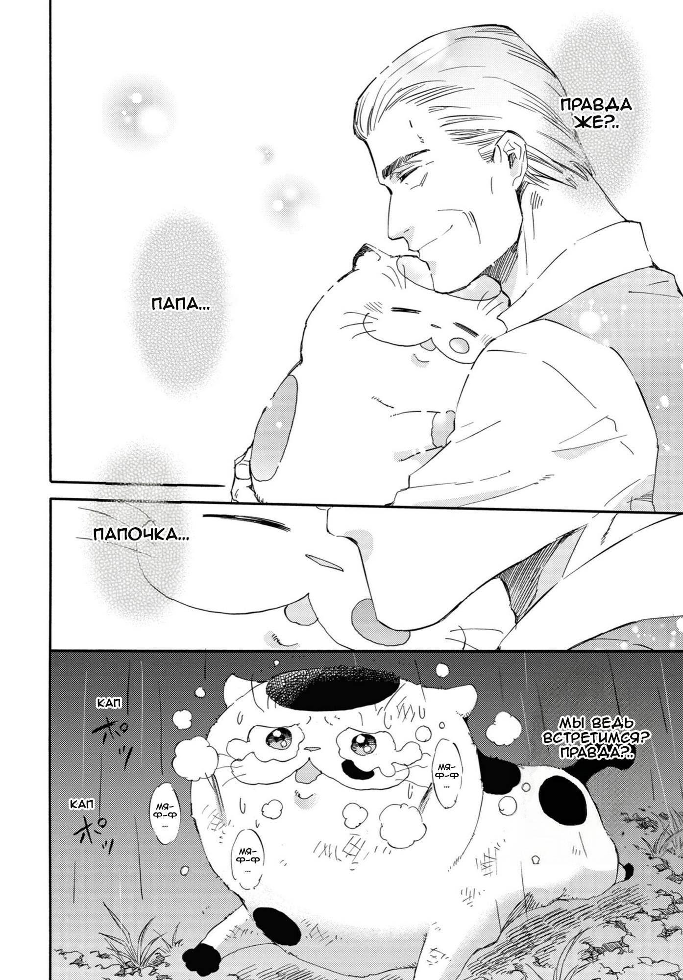 Манга Мужчина и кот - Глава 54 Страница 6