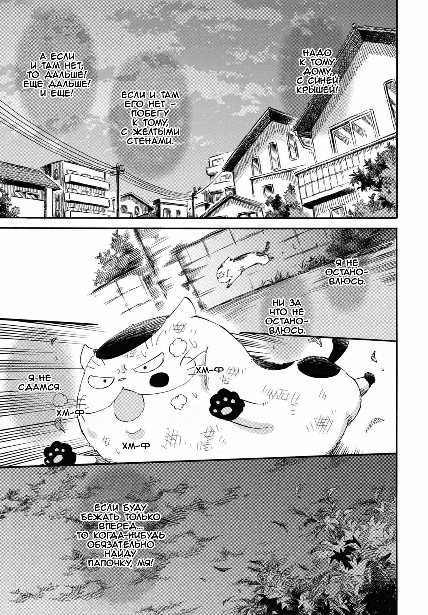 Манга Мужчина и кот - Глава 54 Страница 5