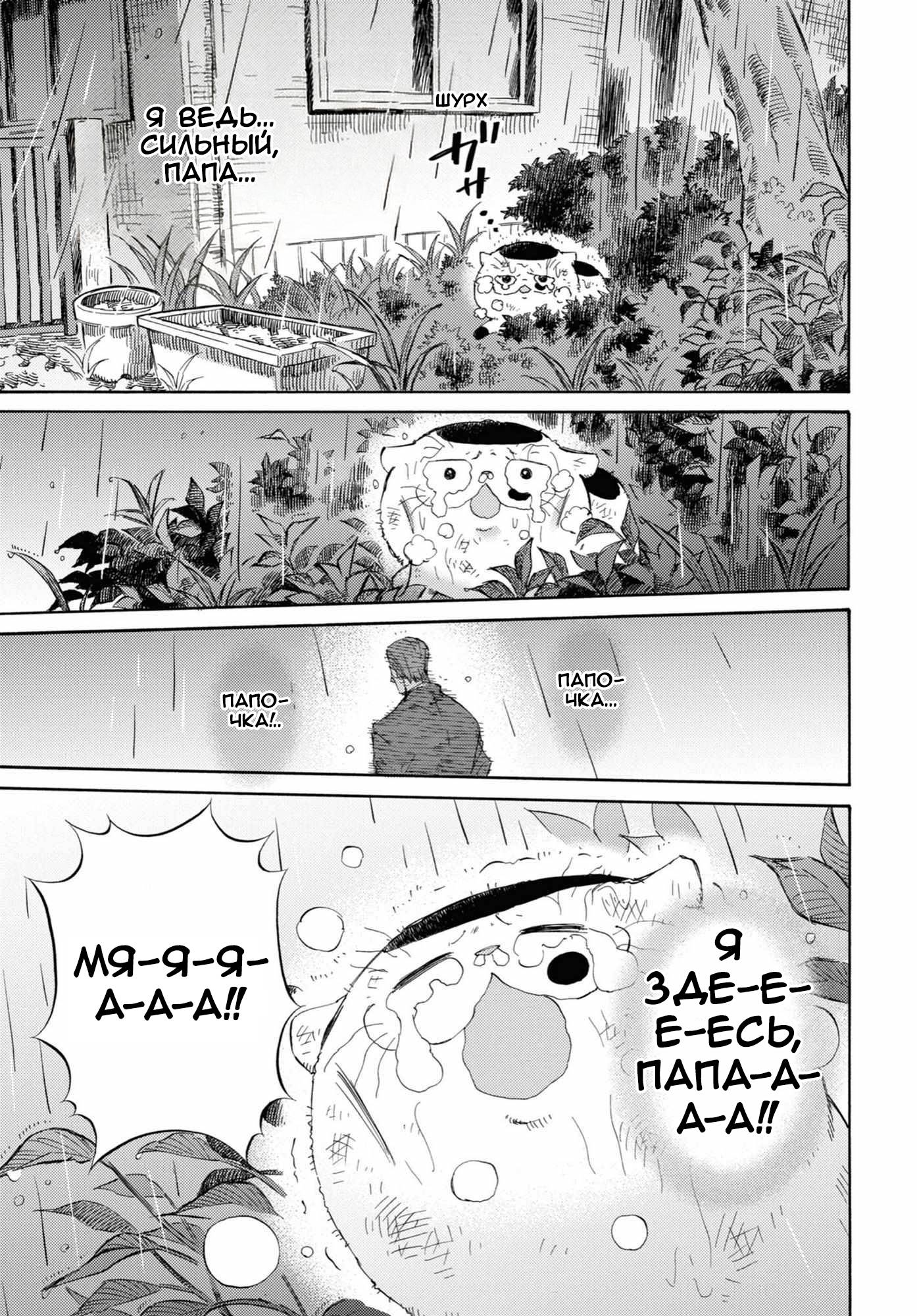 Манга Мужчина и кот - Глава 54 Страница 17