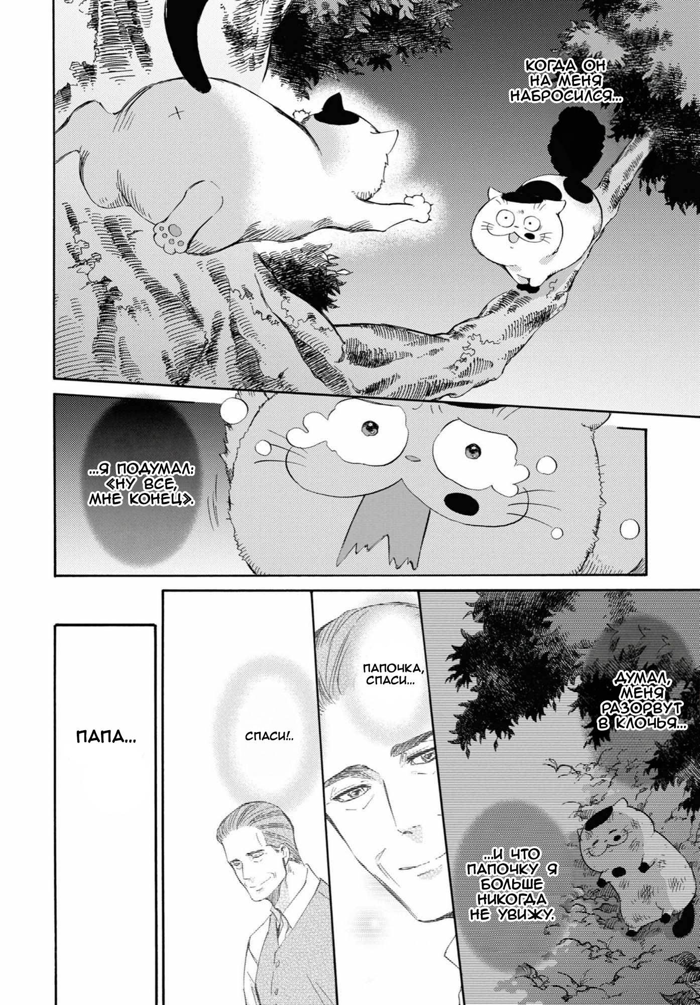 Манга Мужчина и кот - Глава 52 Страница 2