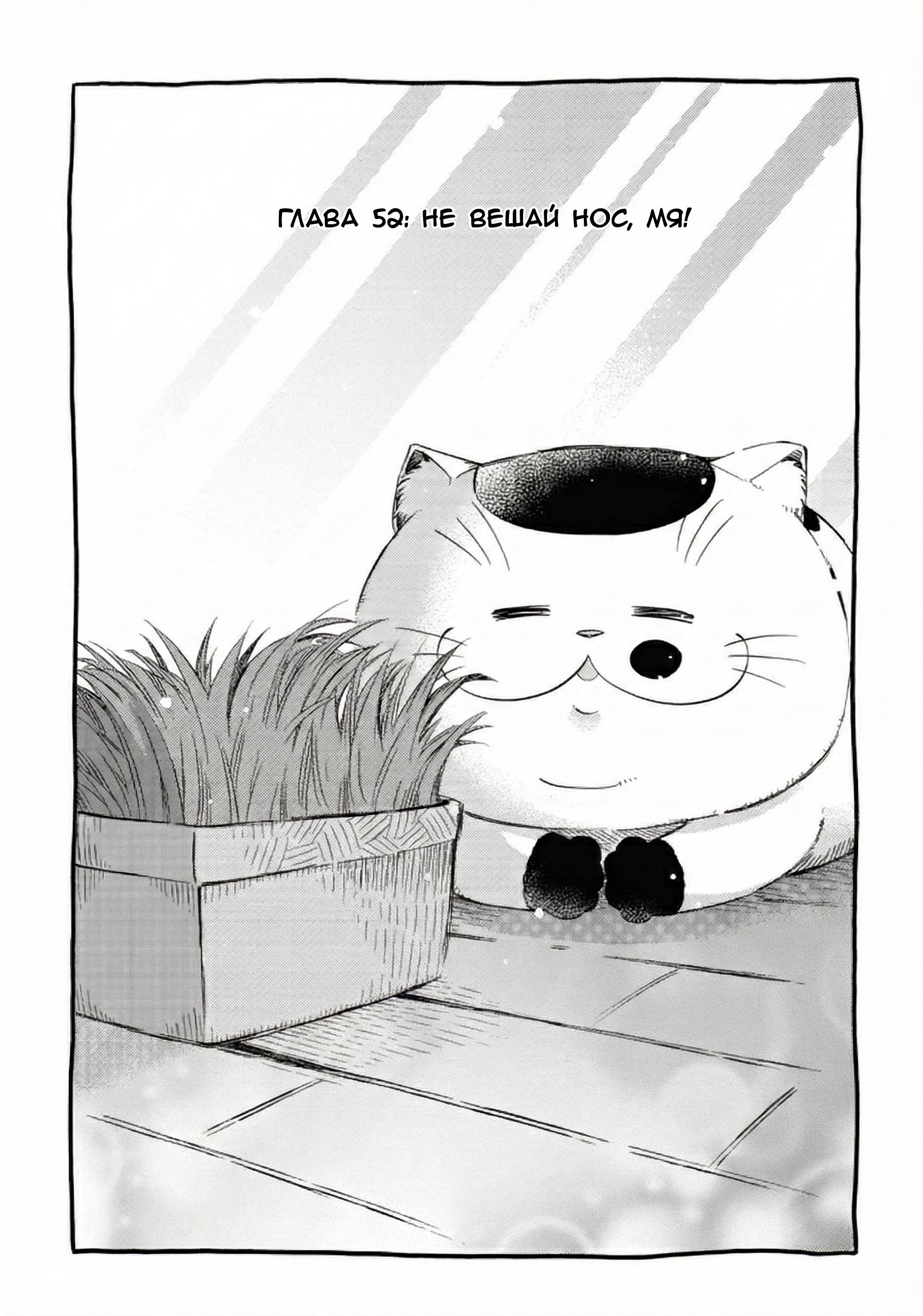 Манга Мужчина и кот - Глава 52 Страница 1