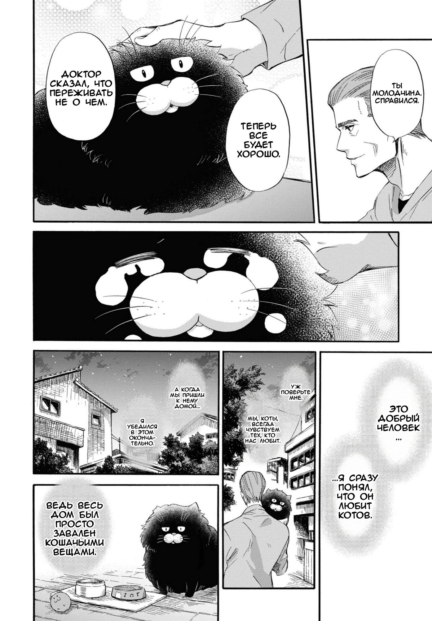 Манга Мужчина и кот - Глава 51 Страница 4