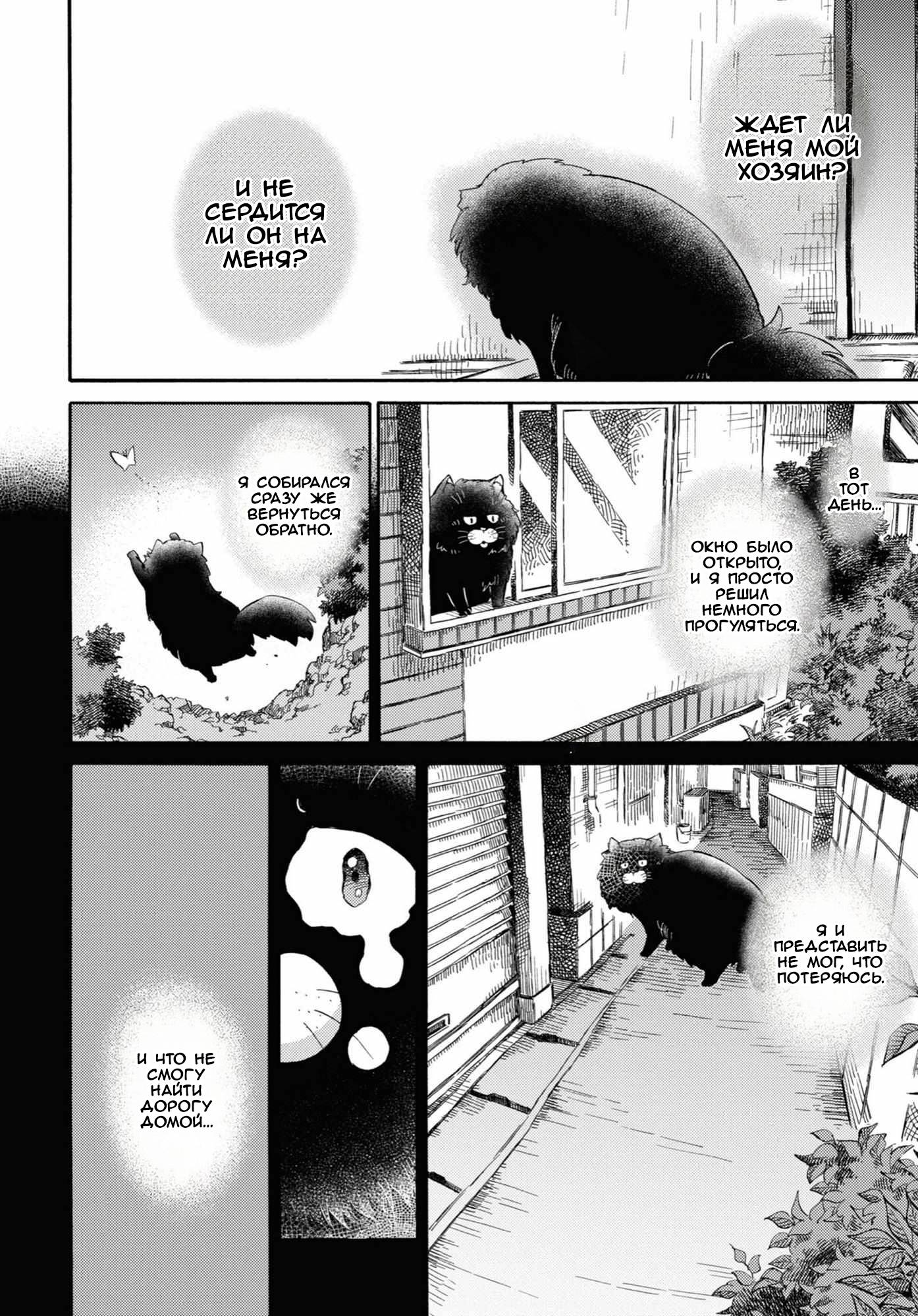 Манга Мужчина и кот - Глава 51 Страница 8