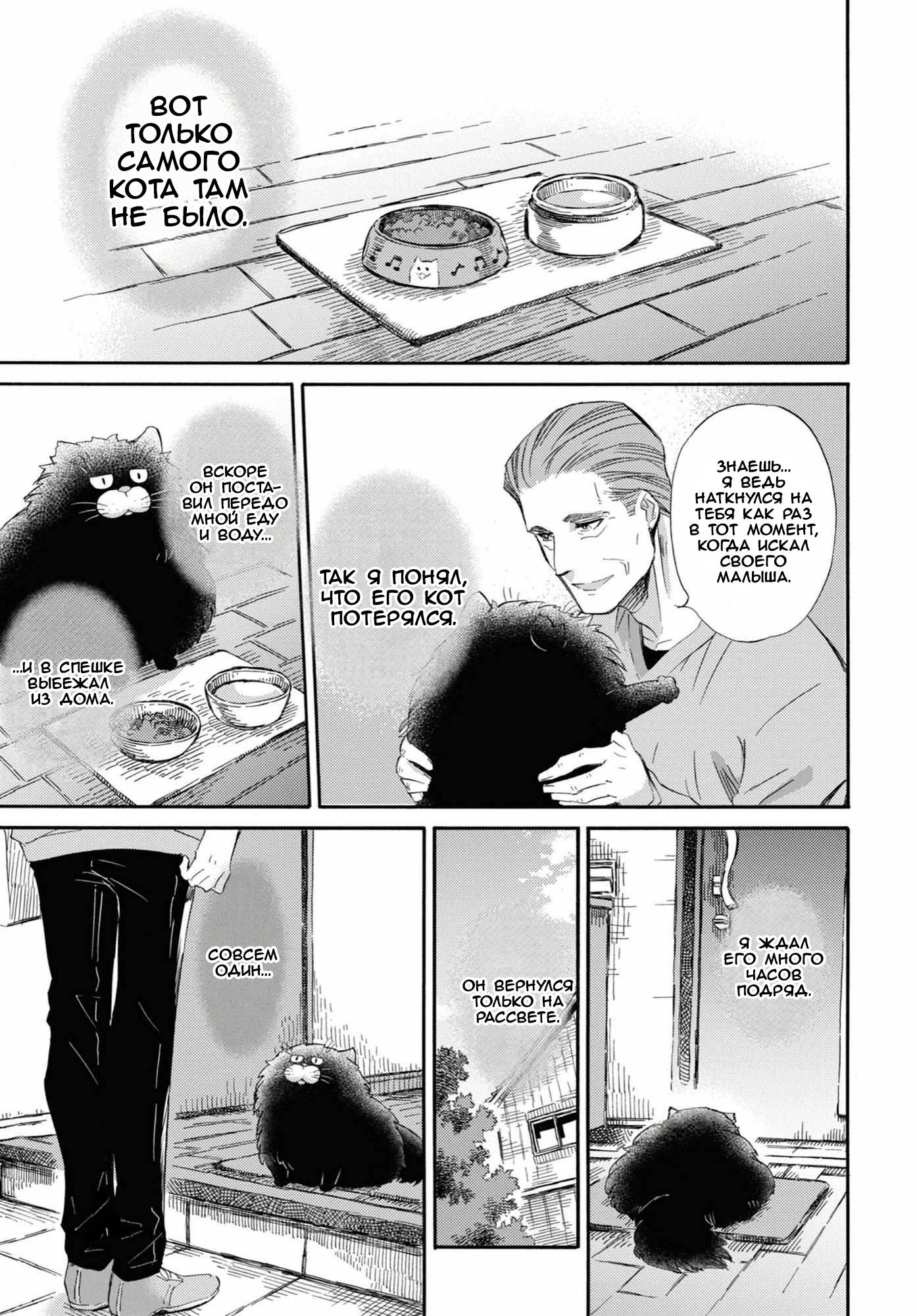 Манга Мужчина и кот - Глава 51 Страница 5