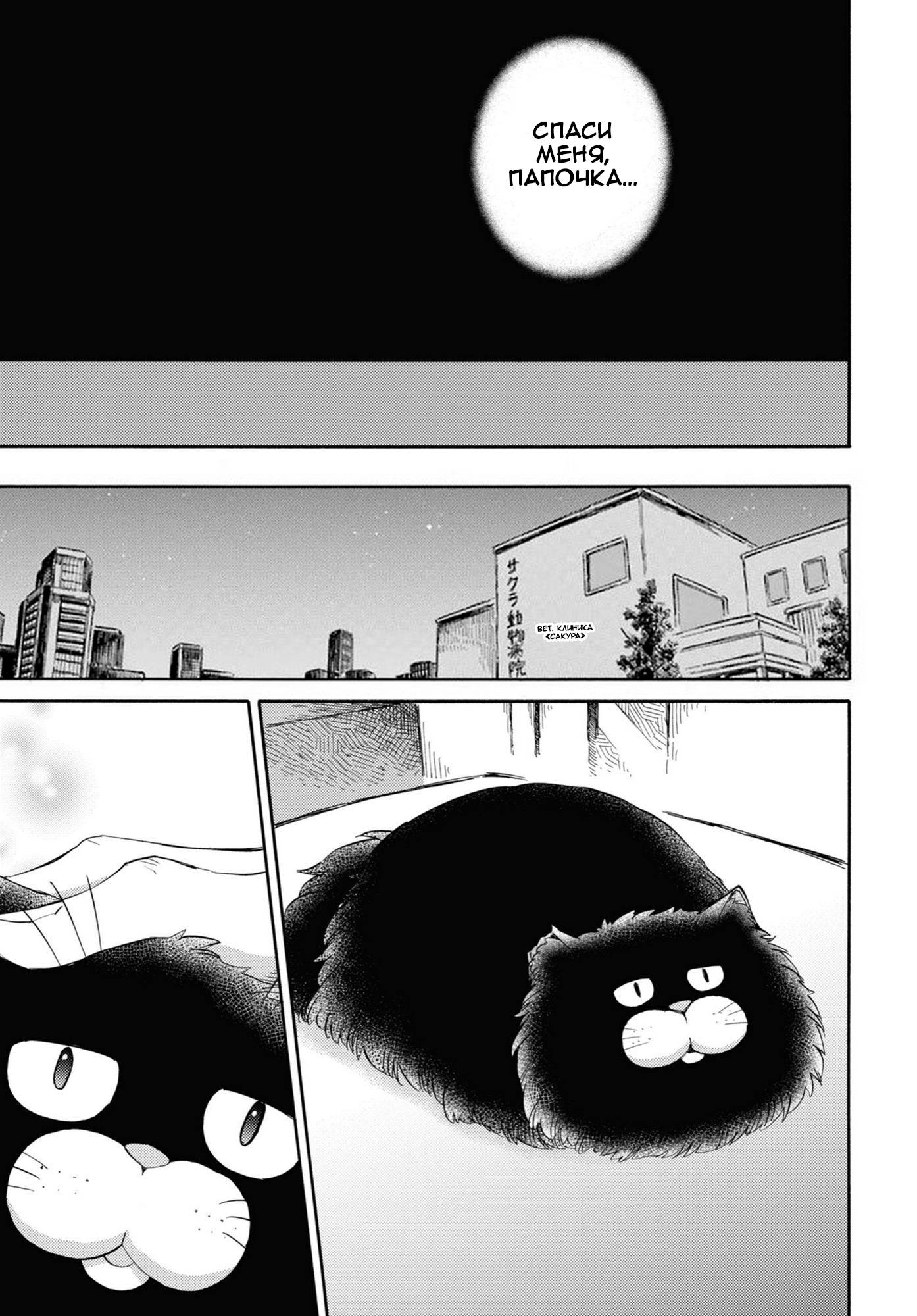 Манга Мужчина и кот - Глава 50 Страница 7