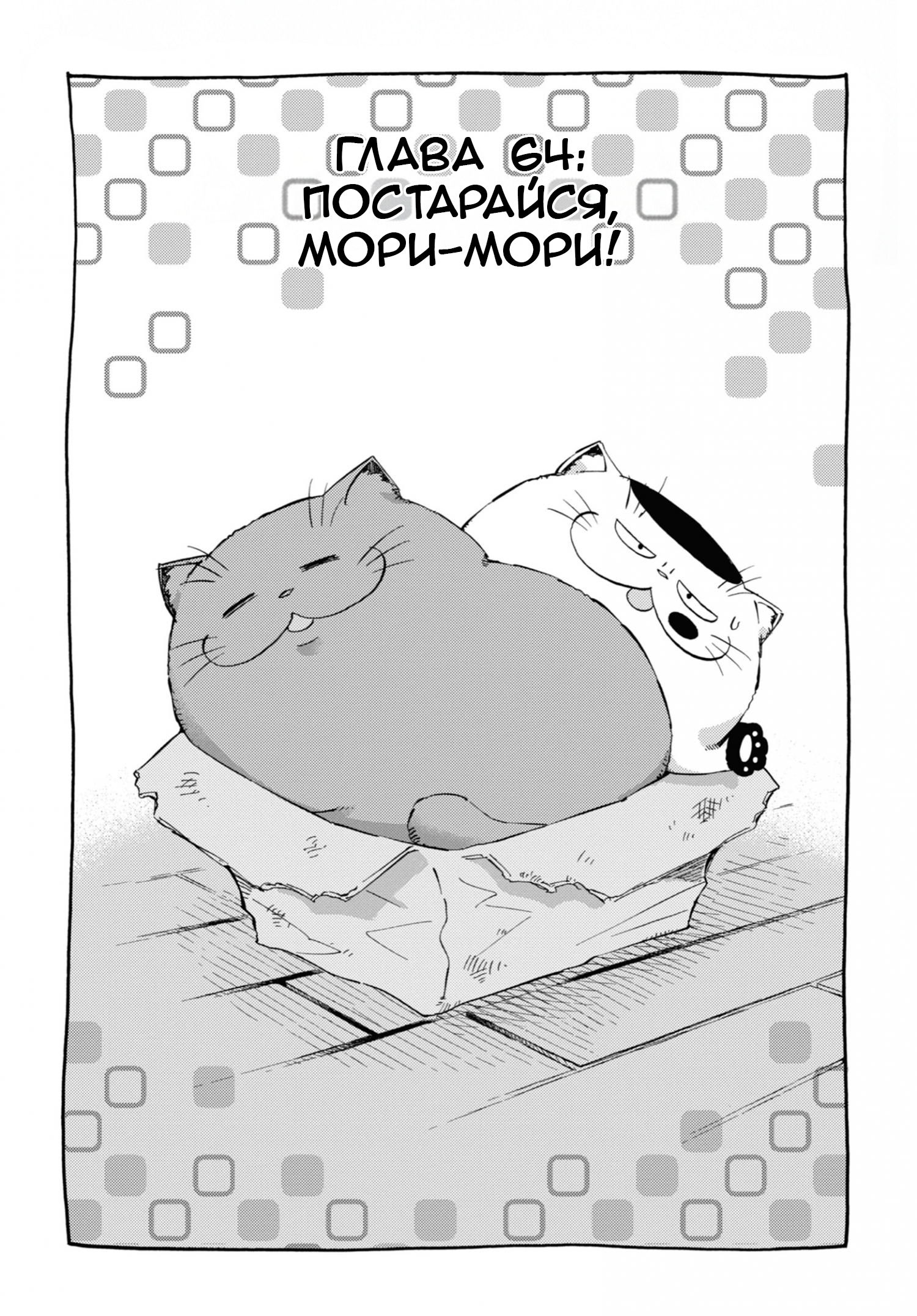 Манга Мужчина и кот - Глава 64 Страница 1