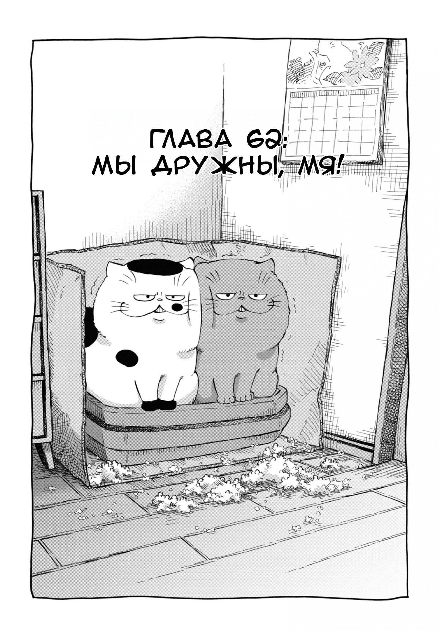 Манга Мужчина и кот - Глава 62 Страница 1