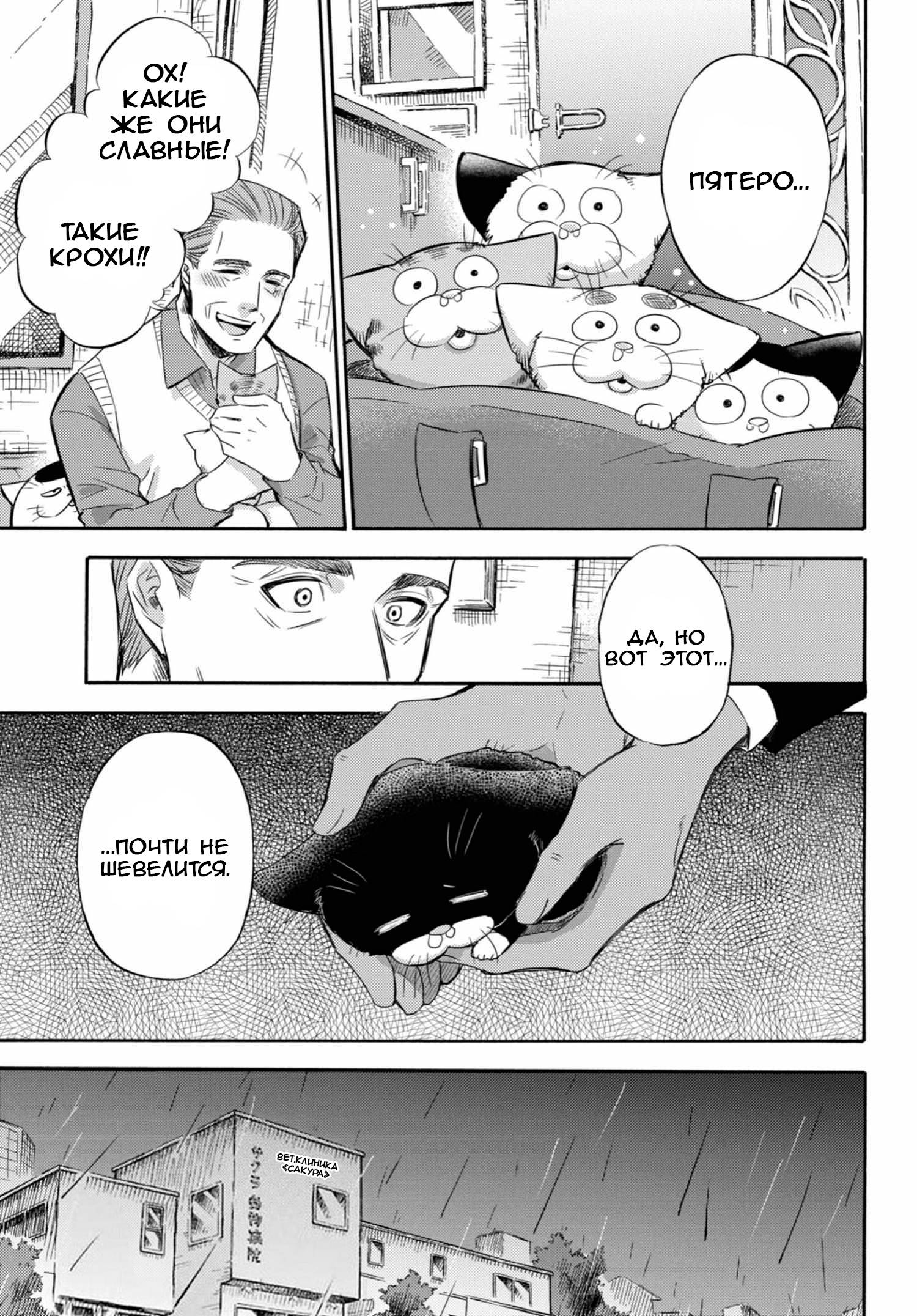 Манга Мужчина и кот - Глава 69 Страница 3