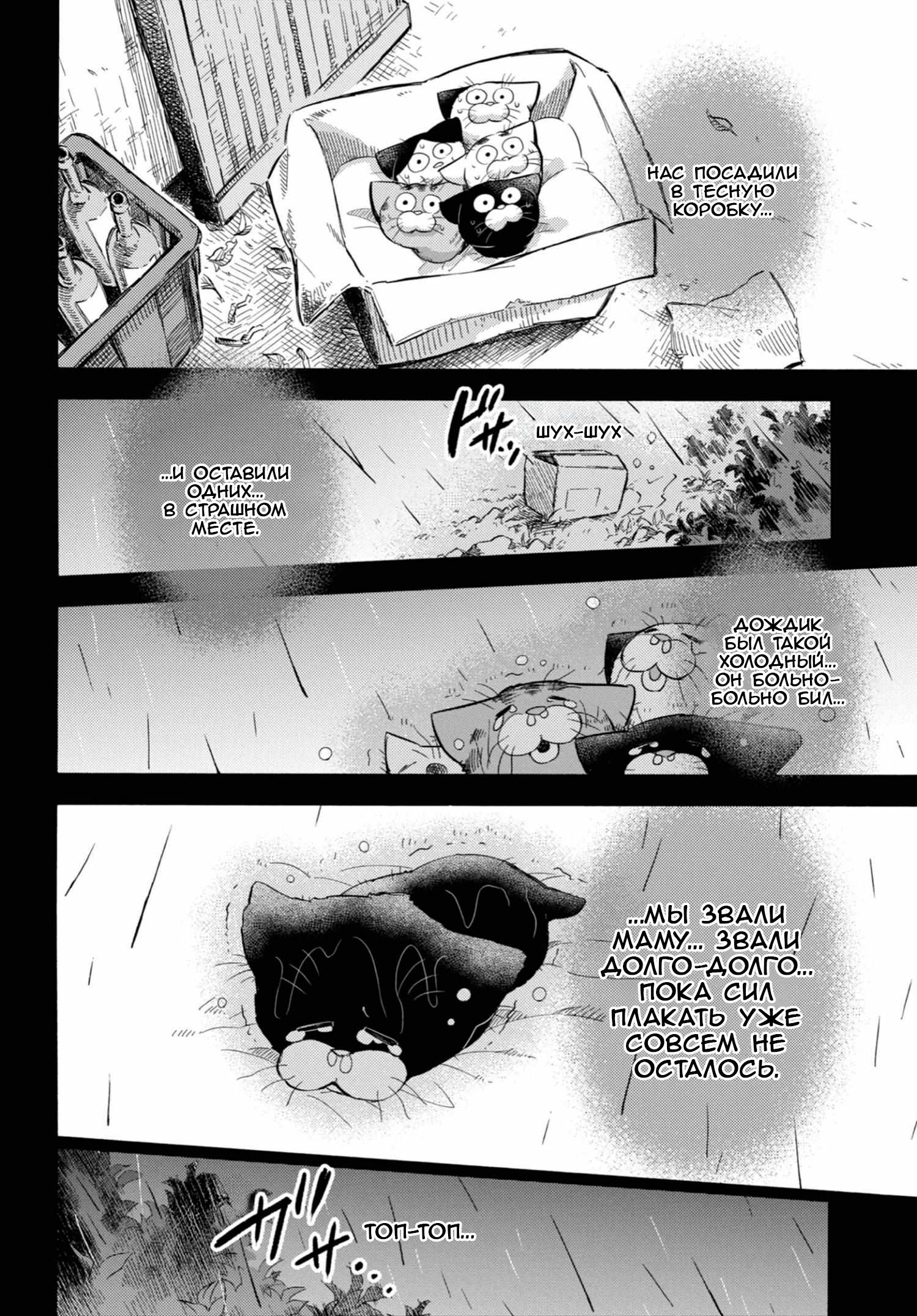 Манга Мужчина и кот - Глава 69 Страница 6