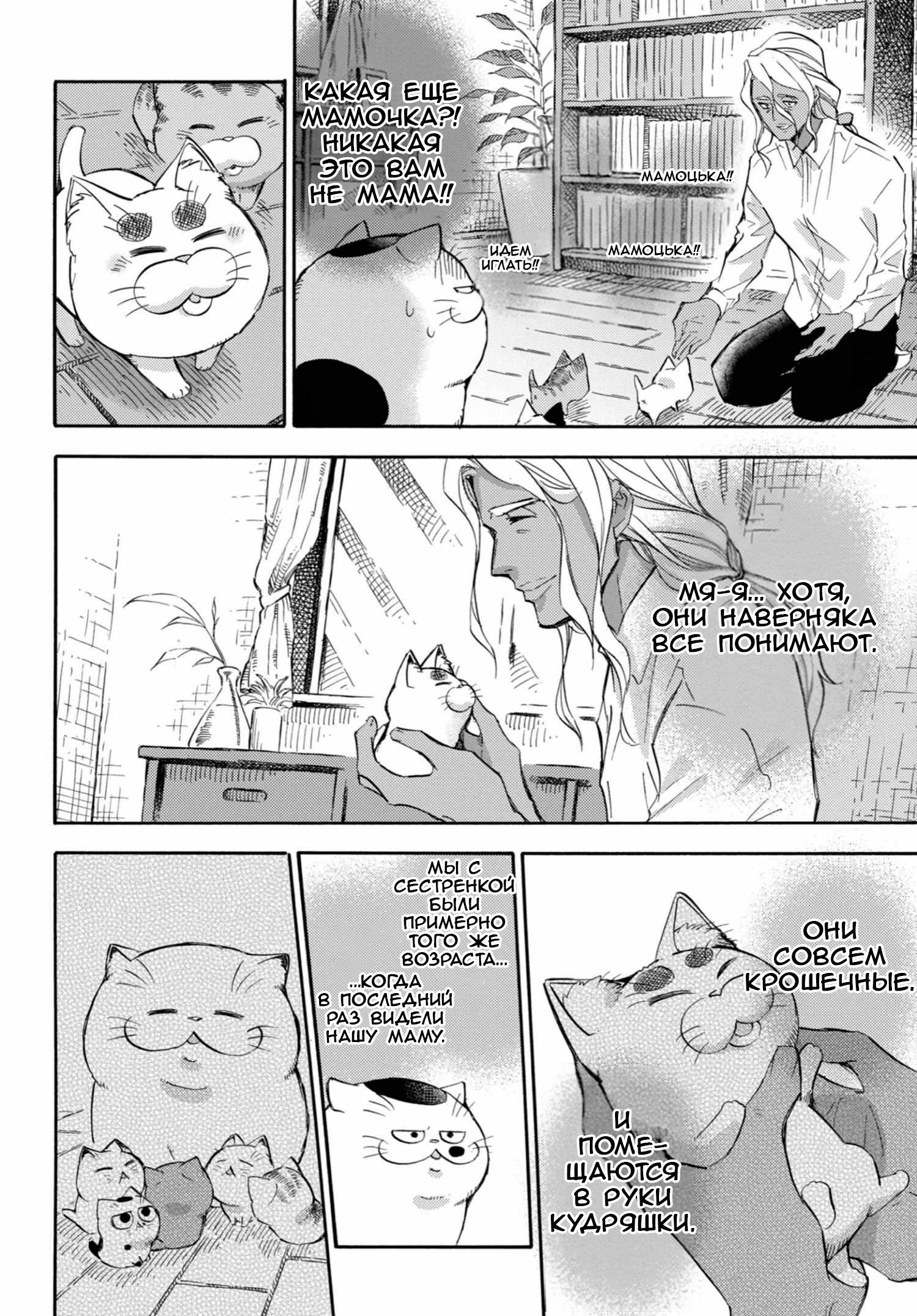 Манга Мужчина и кот - Глава 70 Страница 22