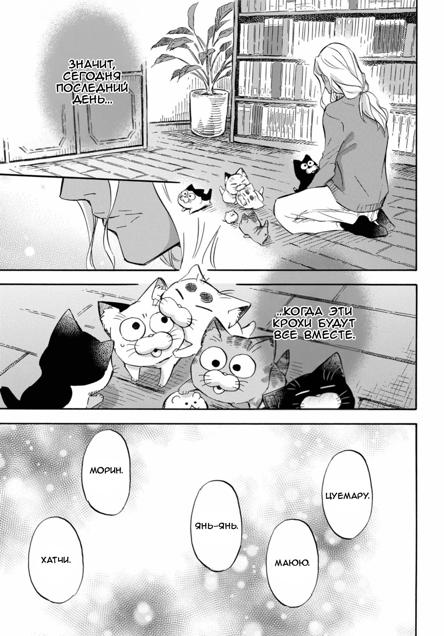Манга Мужчина и кот - Глава 71 Страница 19