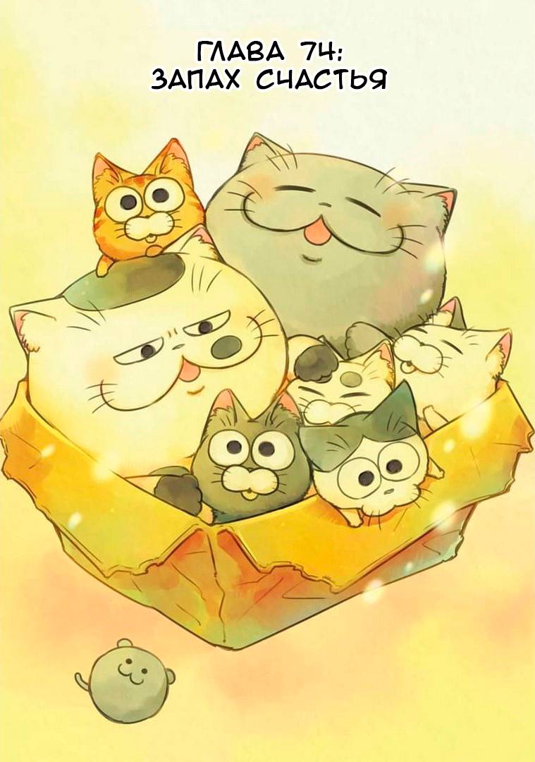 Манга Мужчина и кот - Глава 74 Страница 5