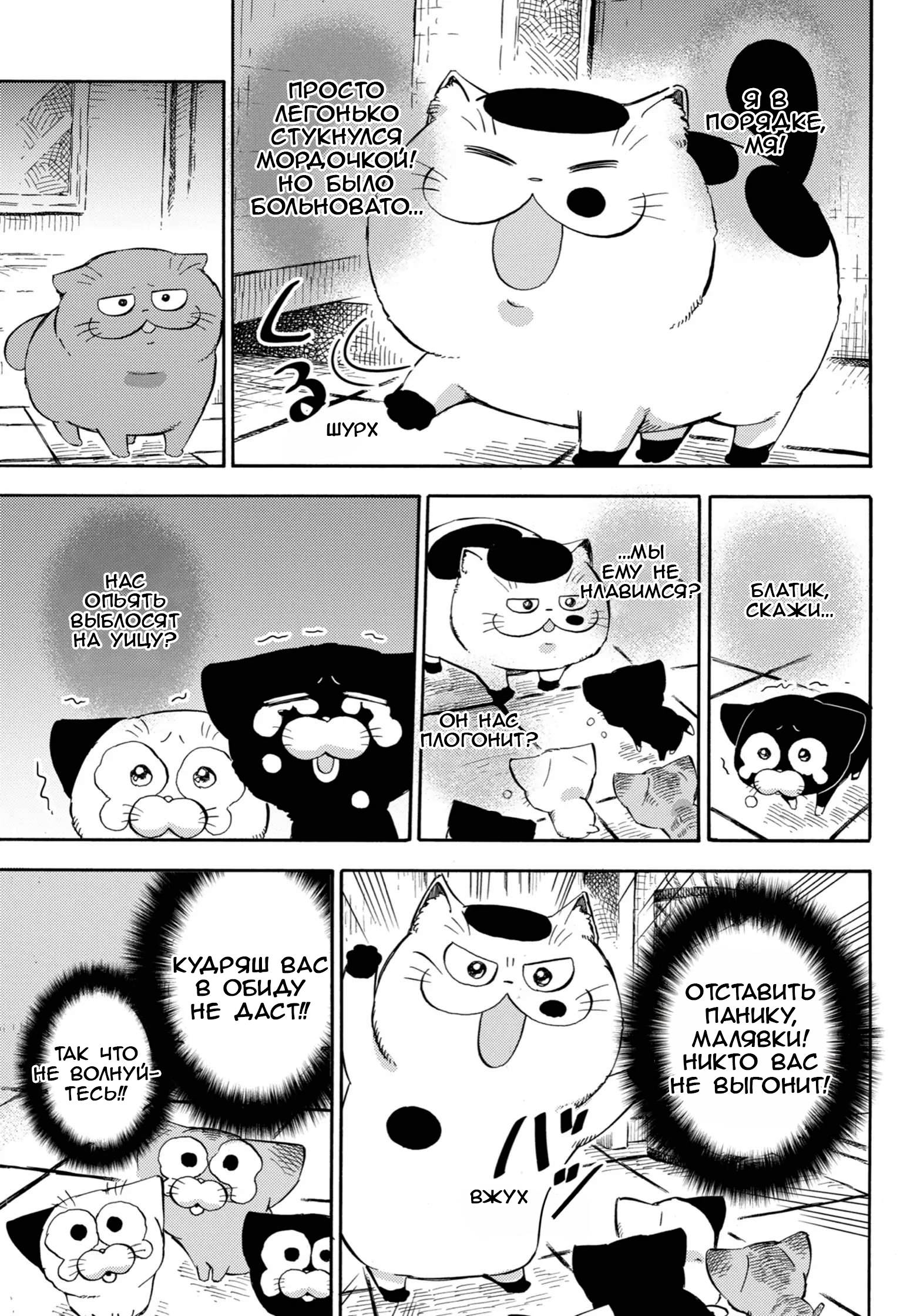 Манга Мужчина и кот - Глава 76 Страница 11