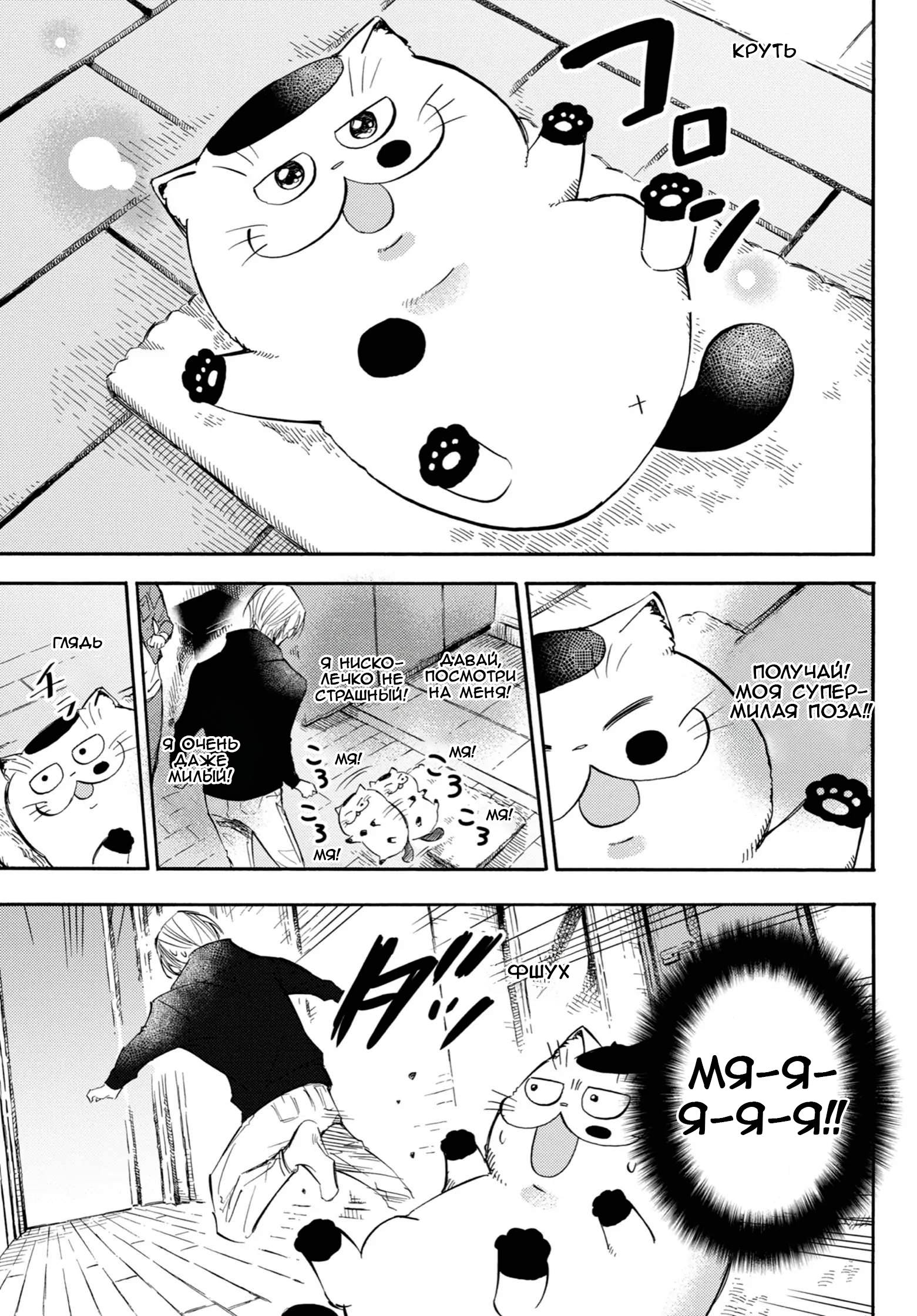 Манга Мужчина и кот - Глава 76 Страница 13