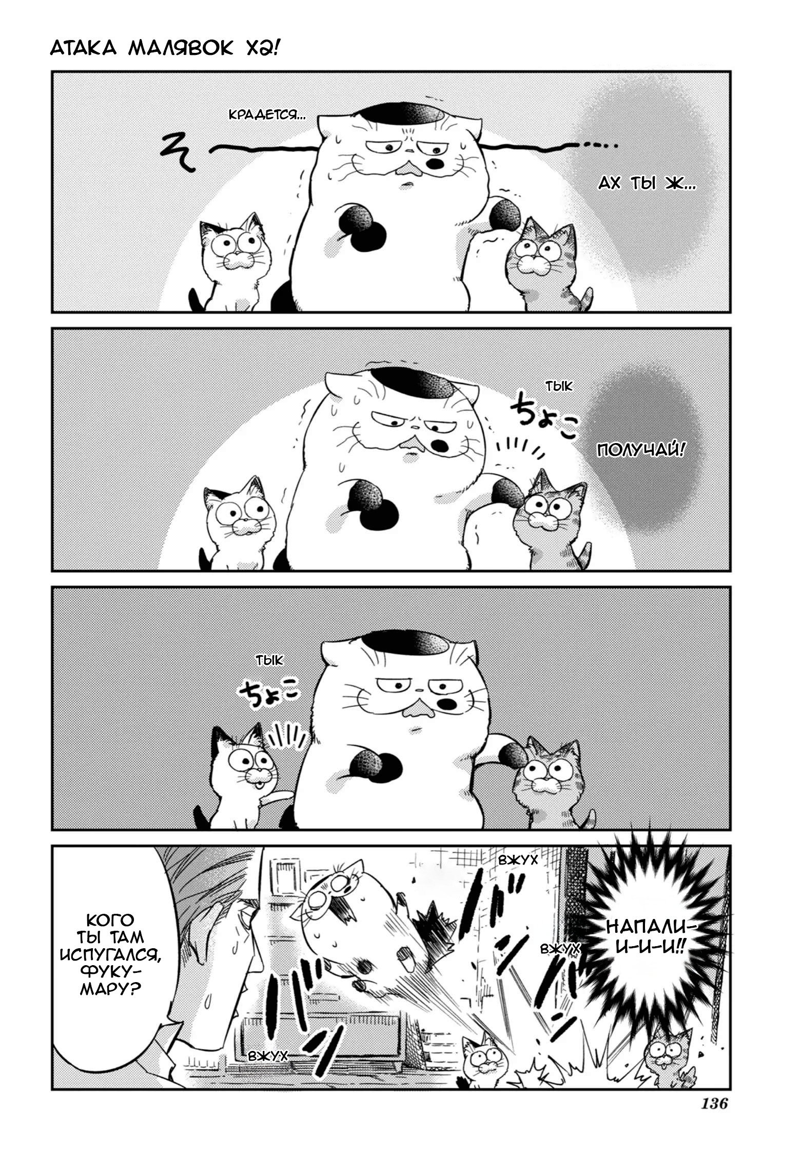 Манга Мужчина и кот - Глава 78.1 Страница 12