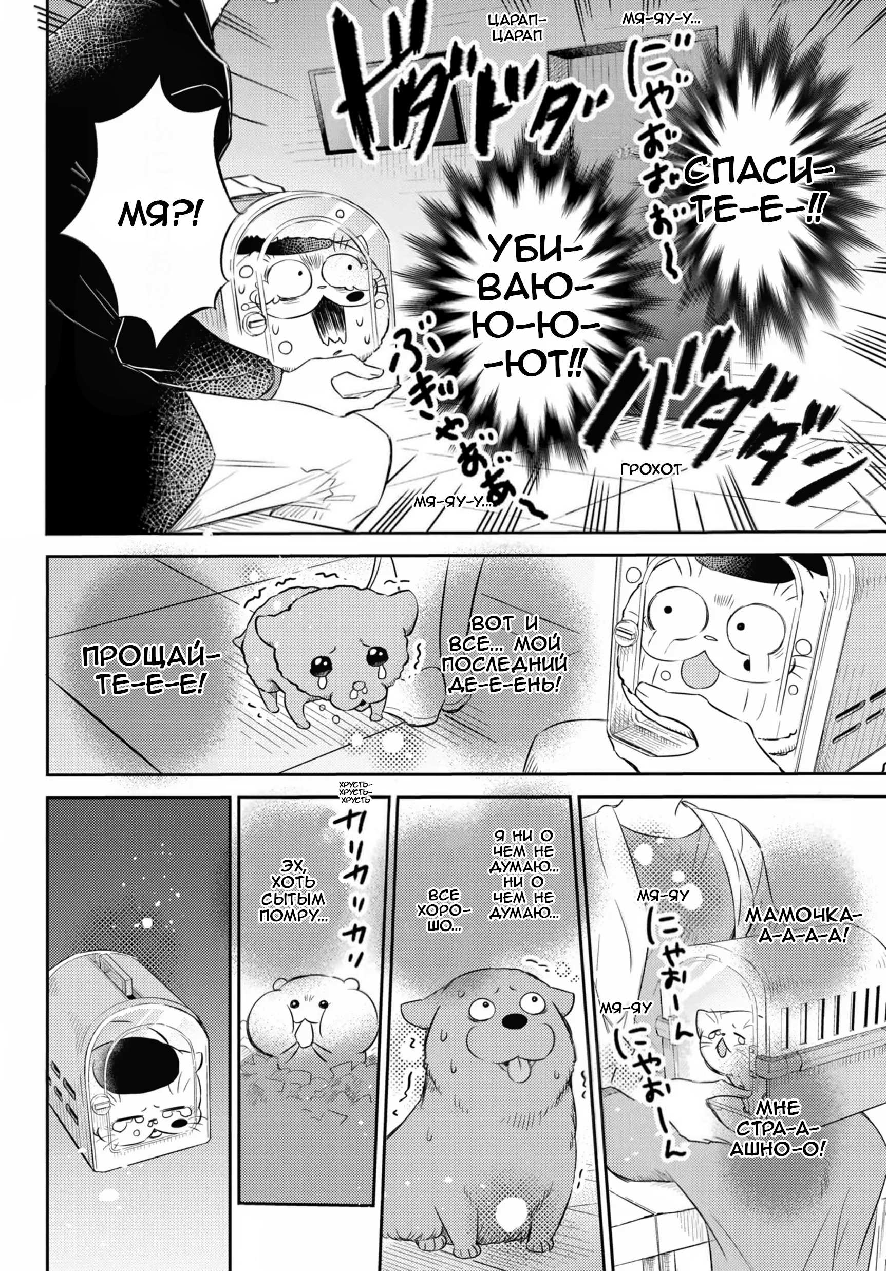 Манга Мужчина и кот - Глава 81 Страница 14